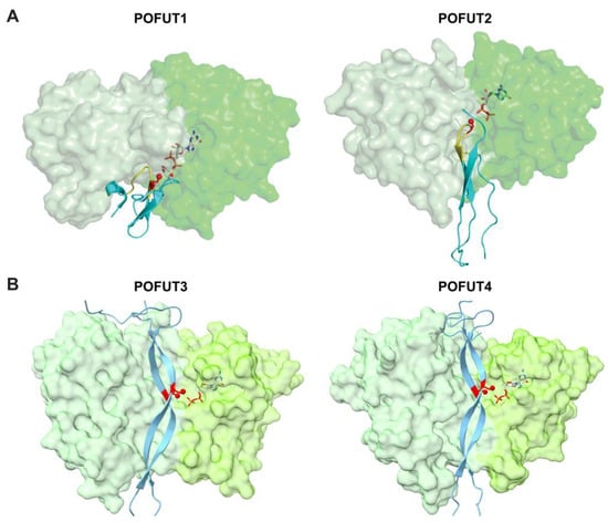 Molecules 30 01470 g006