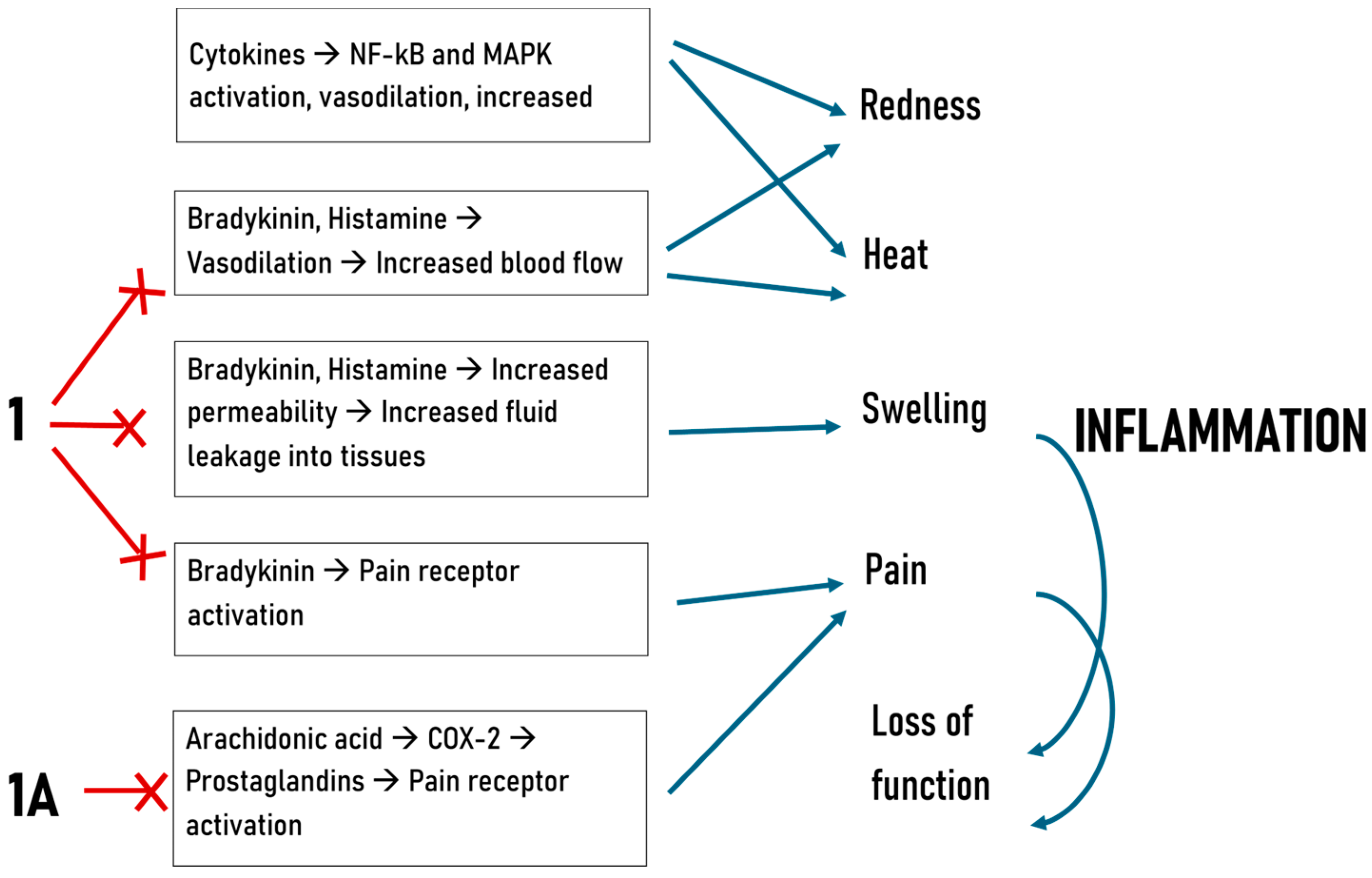 Molecules 30 01472 g004