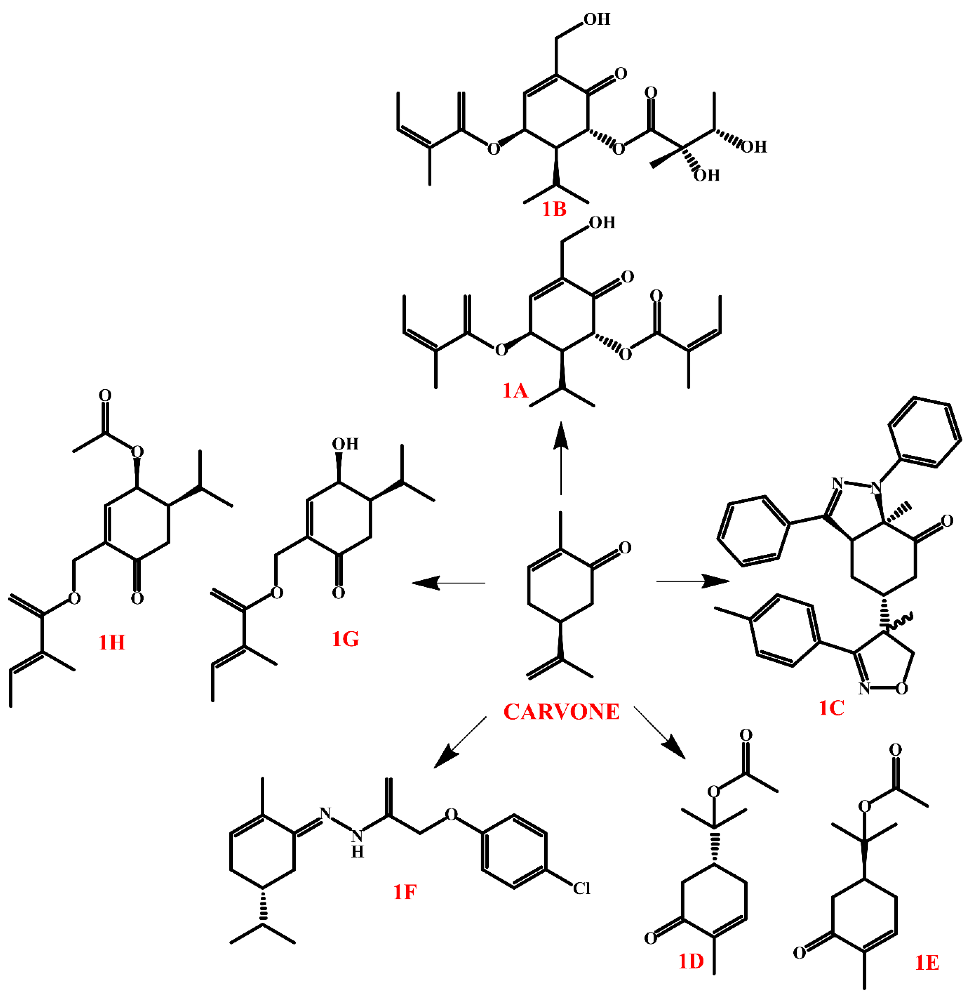 Molecules 30 01480 g003