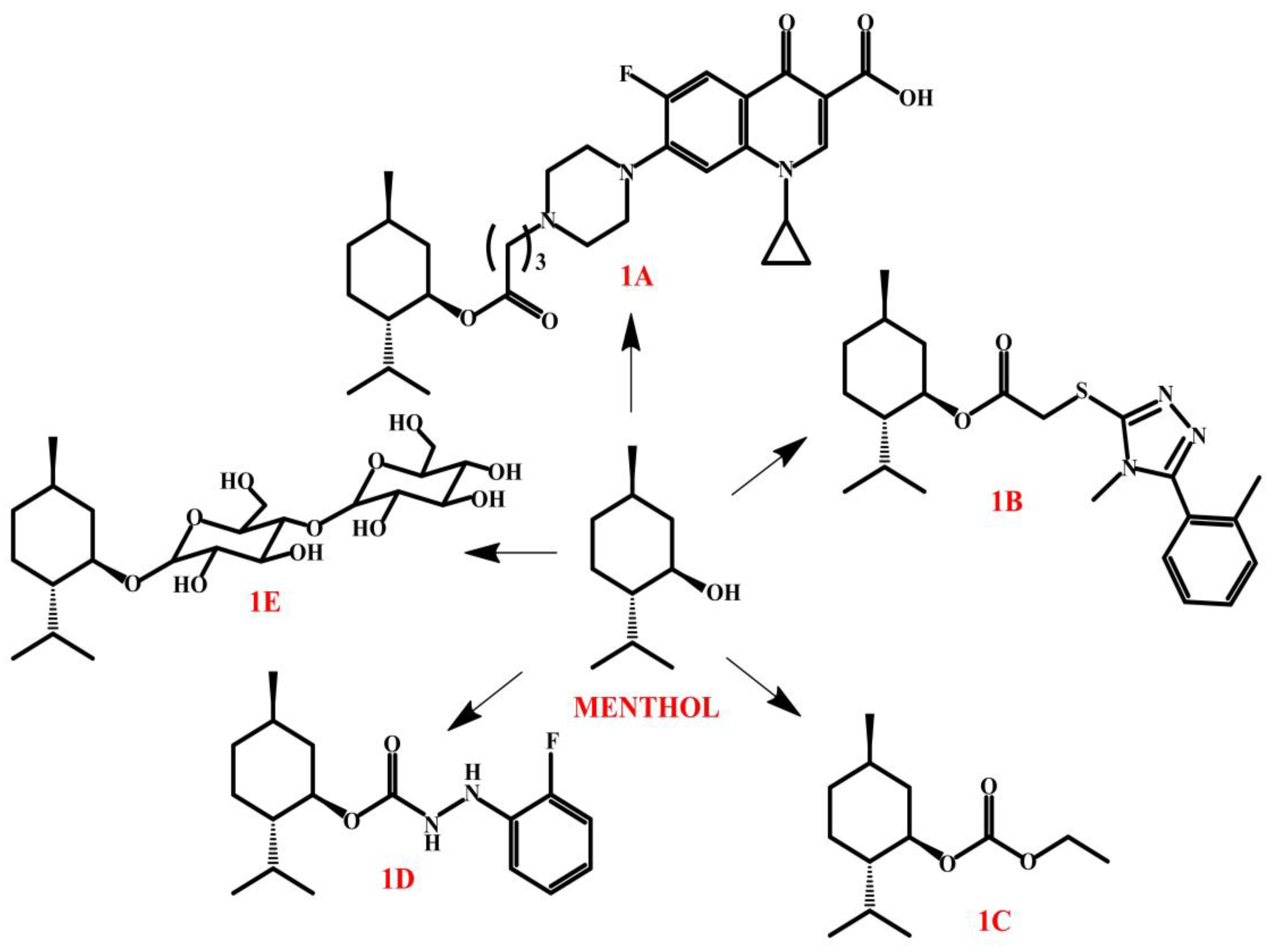 Molecules 30 01480 g005
