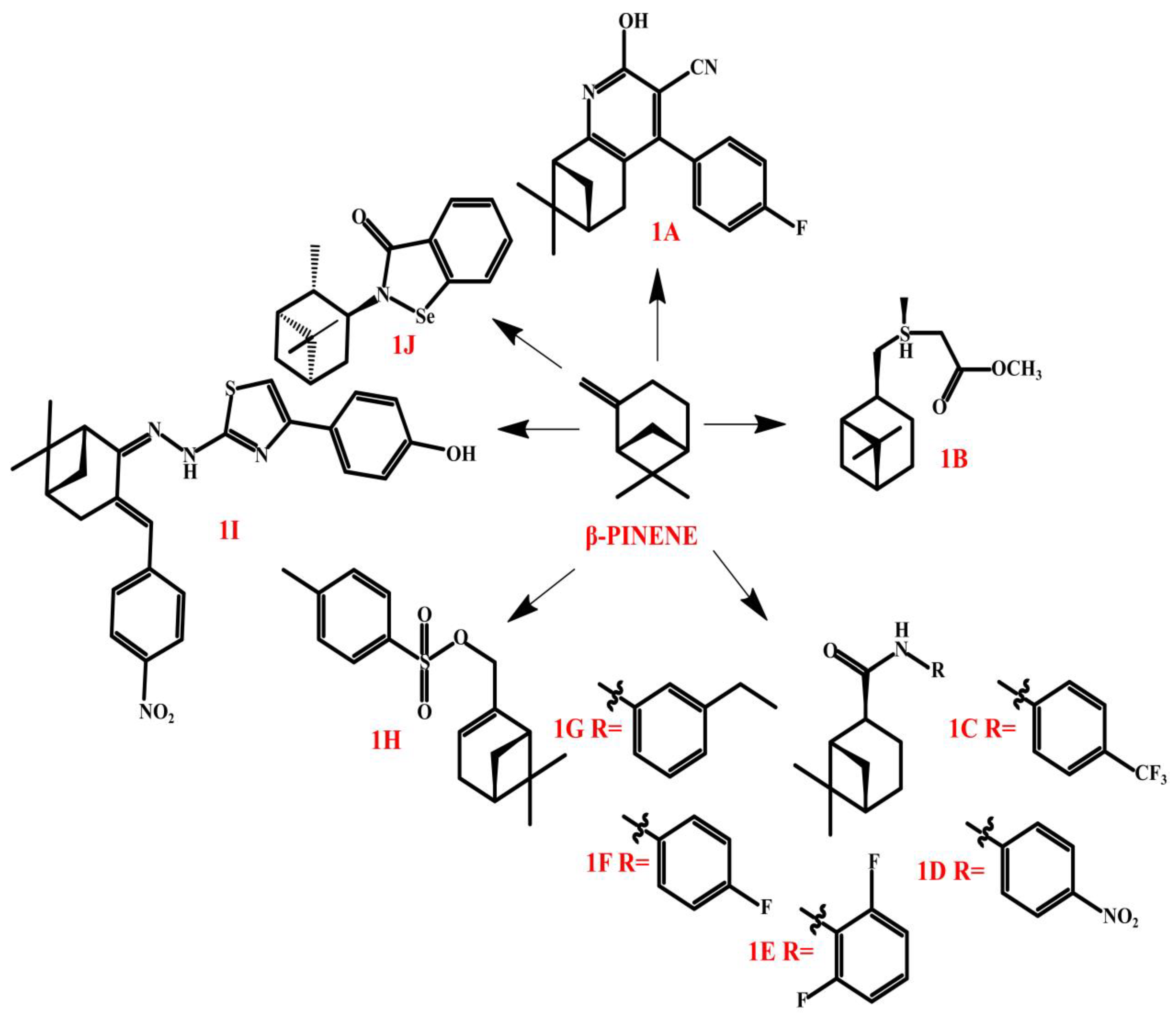 Molecules 30 01480 g006