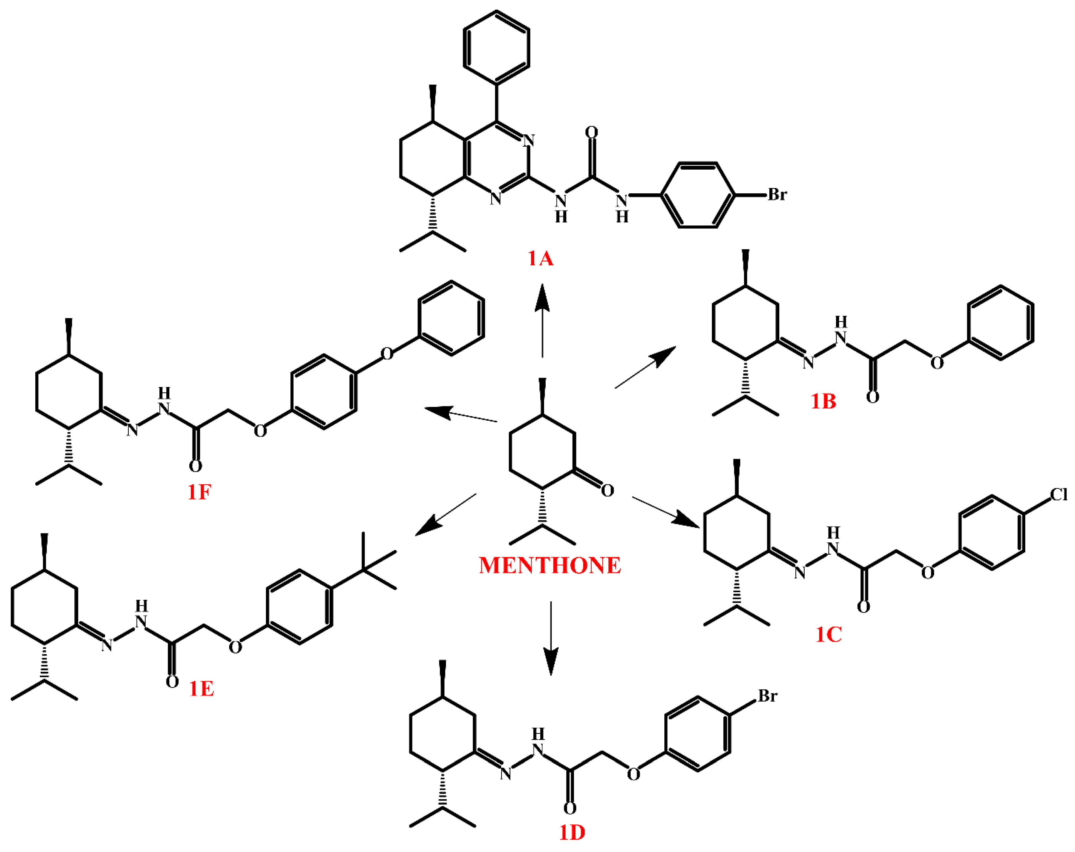 Molecules 30 01480 g009