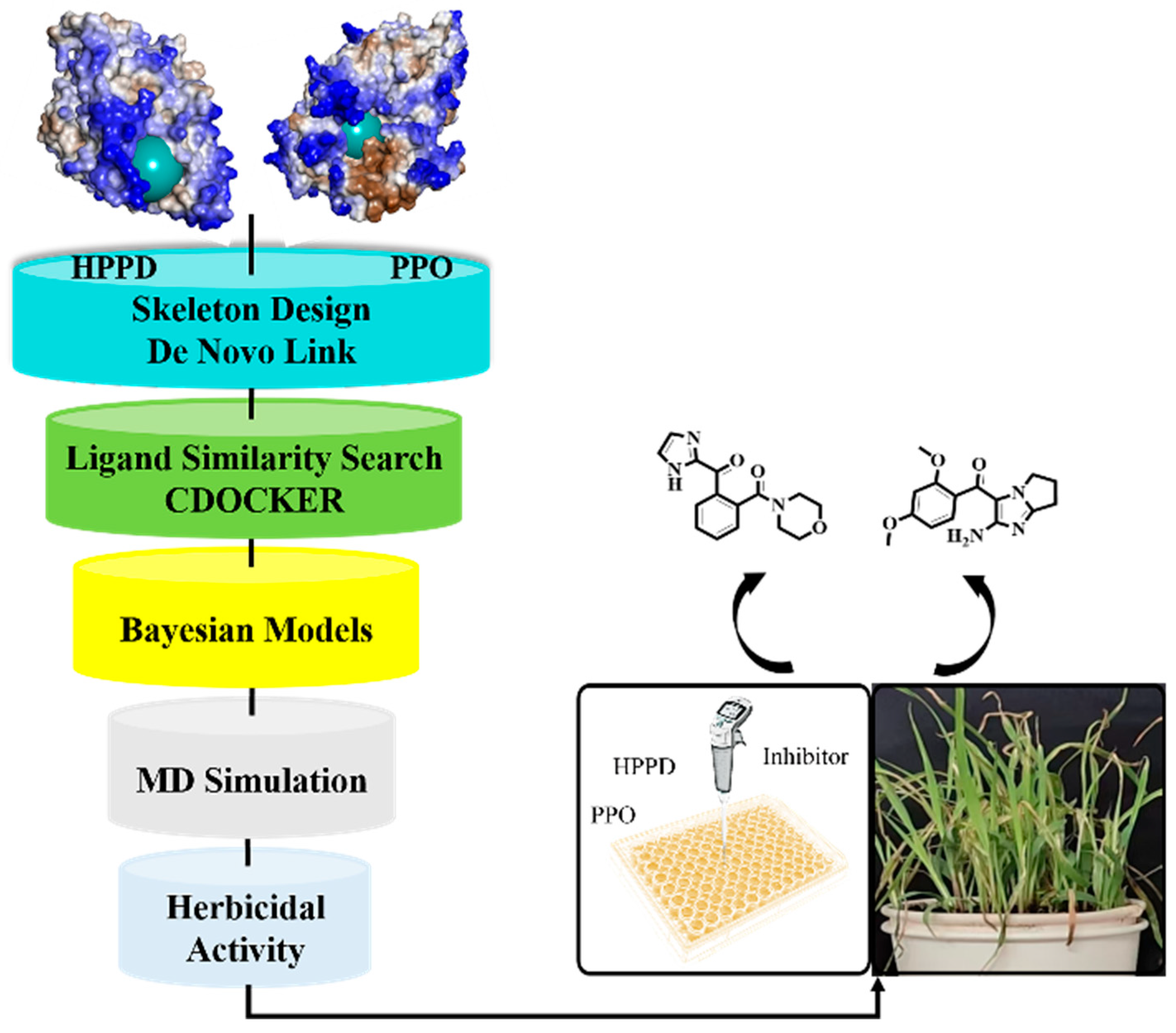 Molecules 30 01491 g001