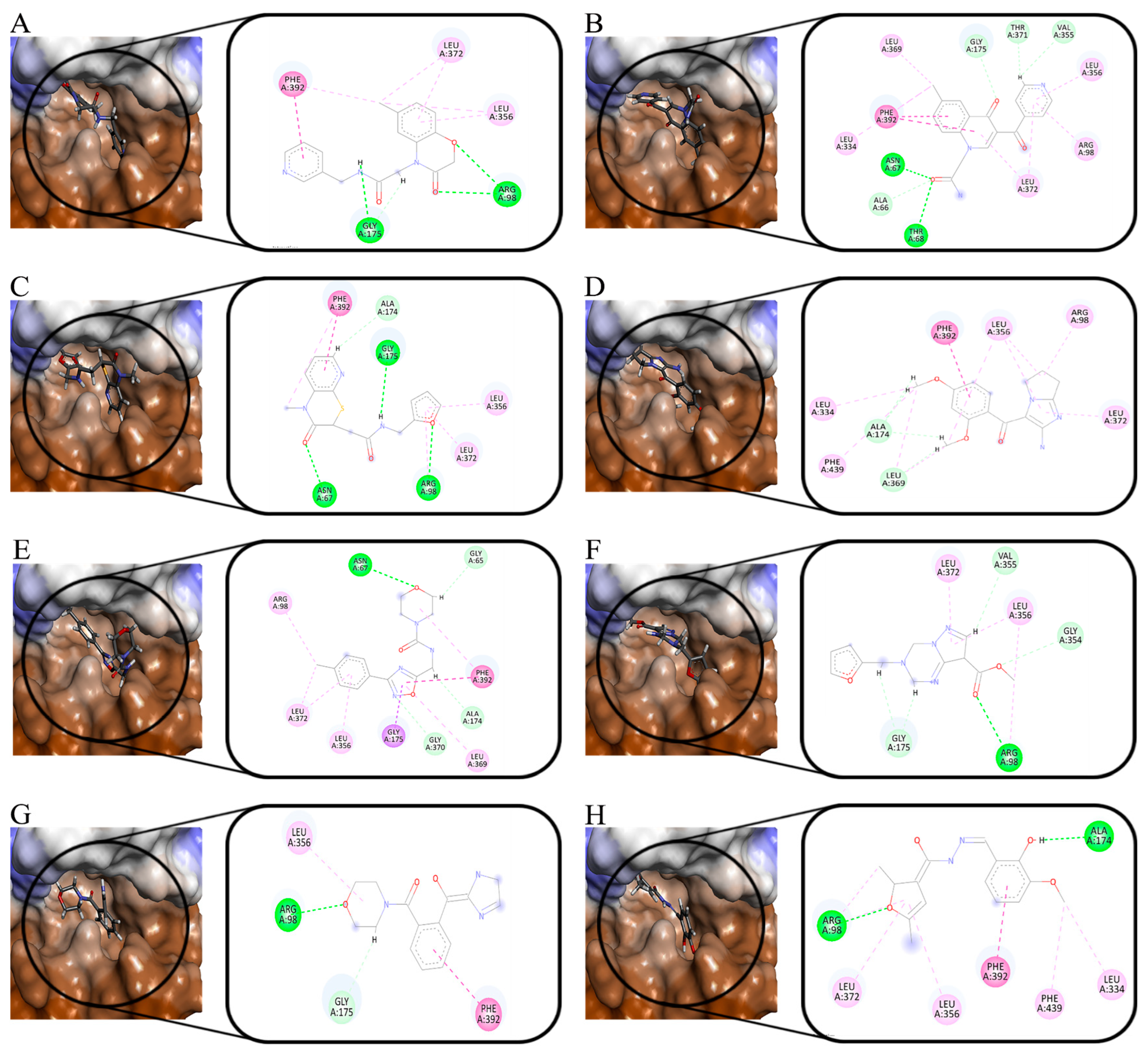 Molecules 30 01491 g007