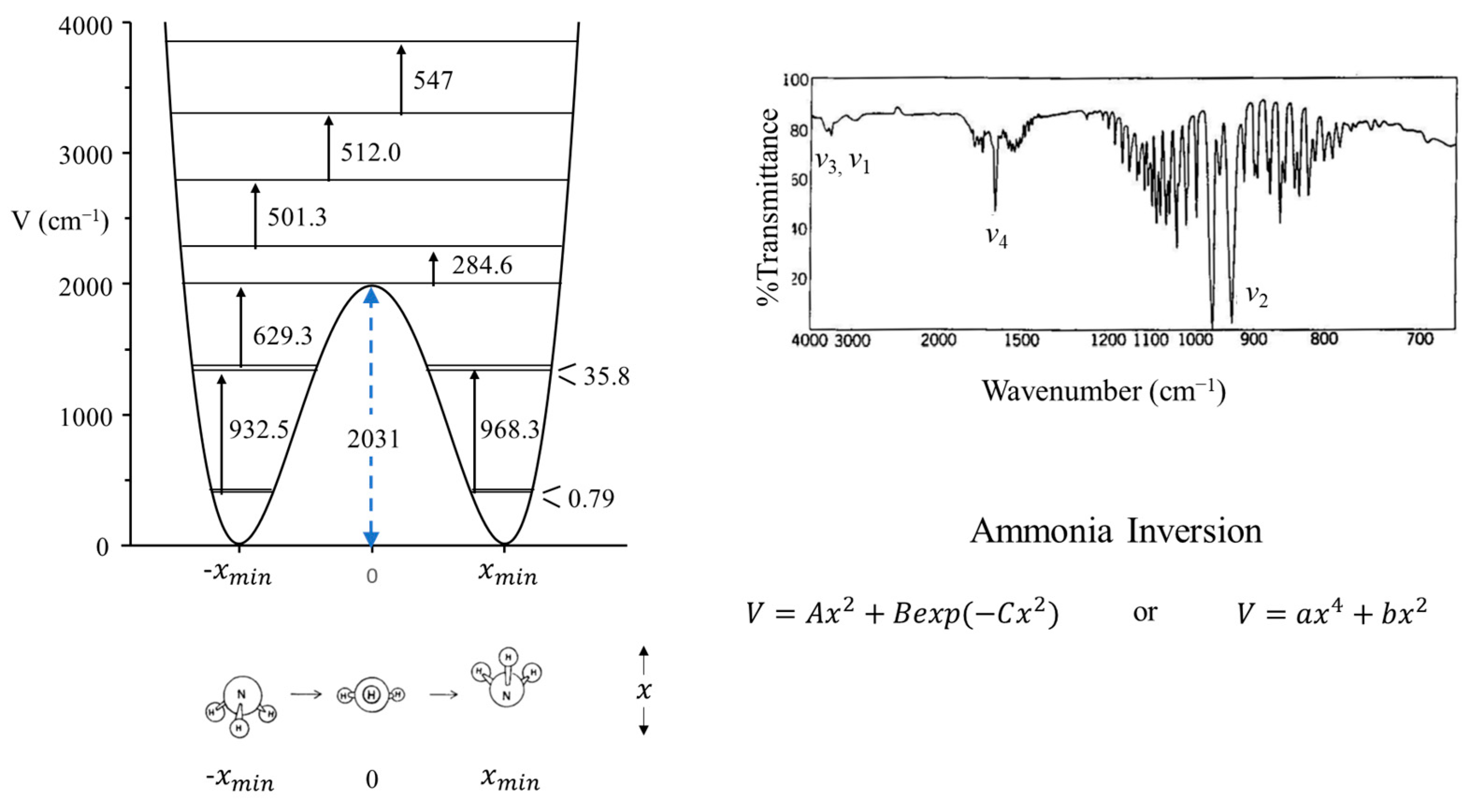 Molecules 30 01492 g003 Molecules 30 01492 g003