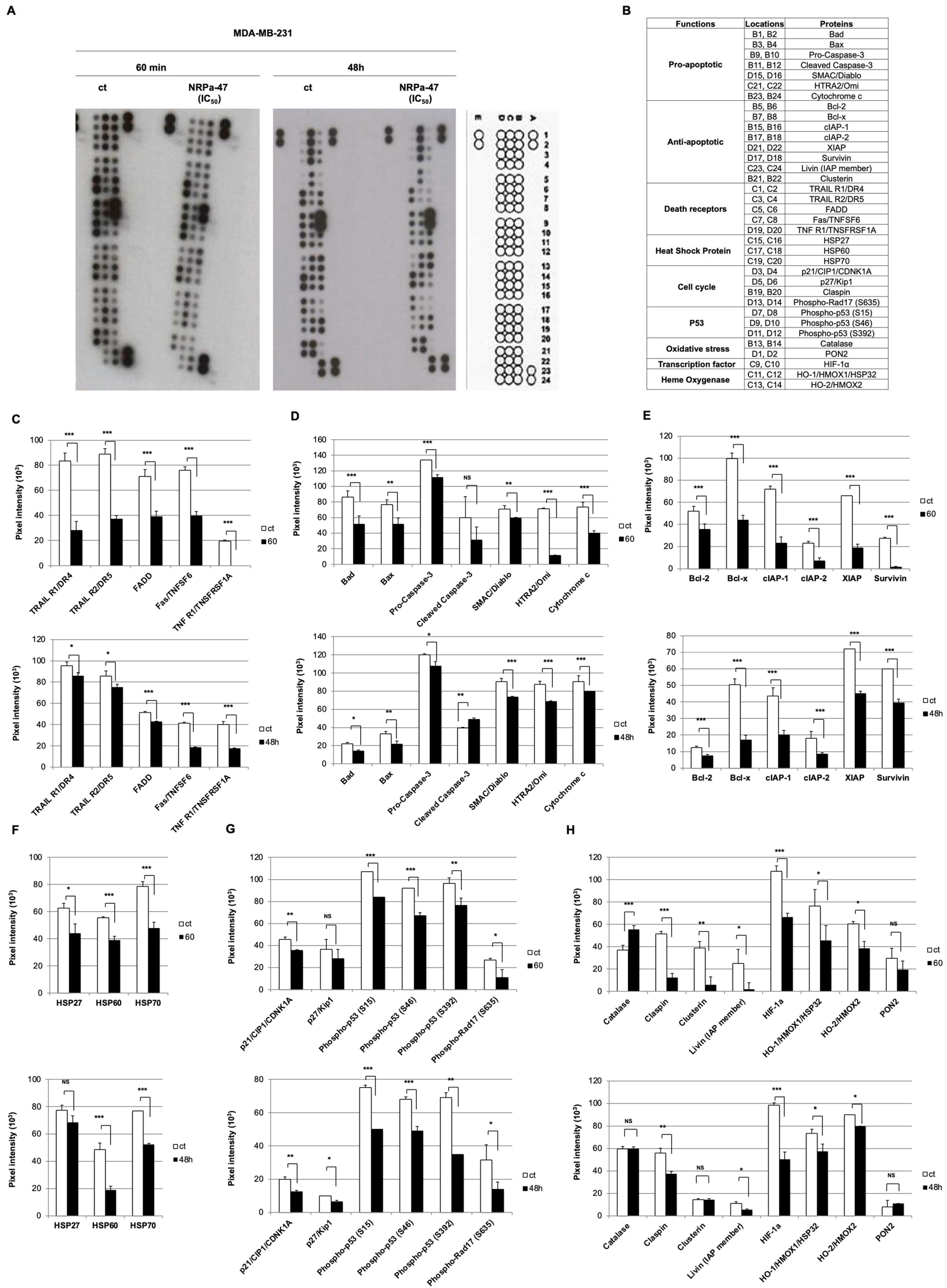 Molecules 30 01494 g004