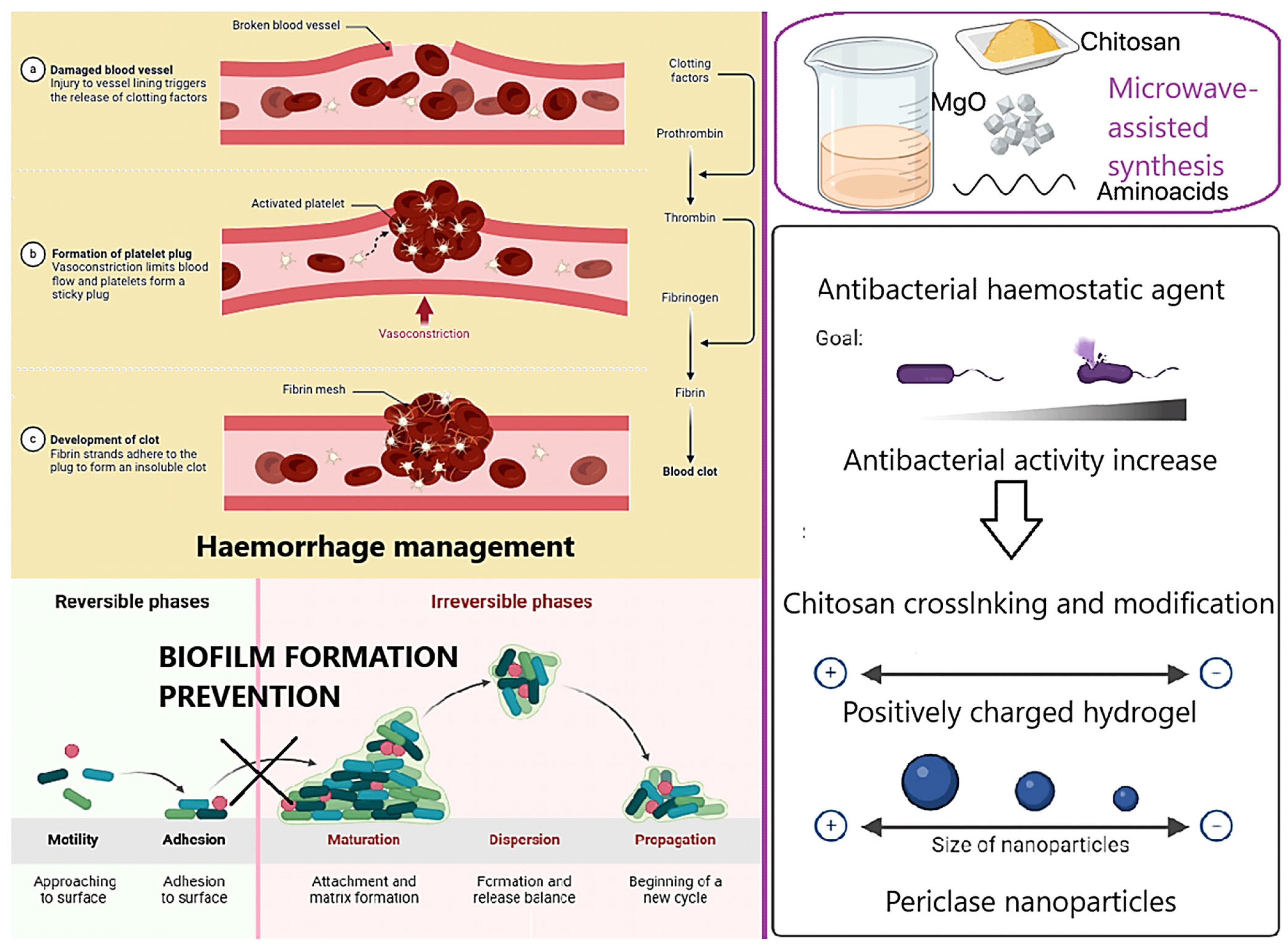 Molecules 30 01496 g001