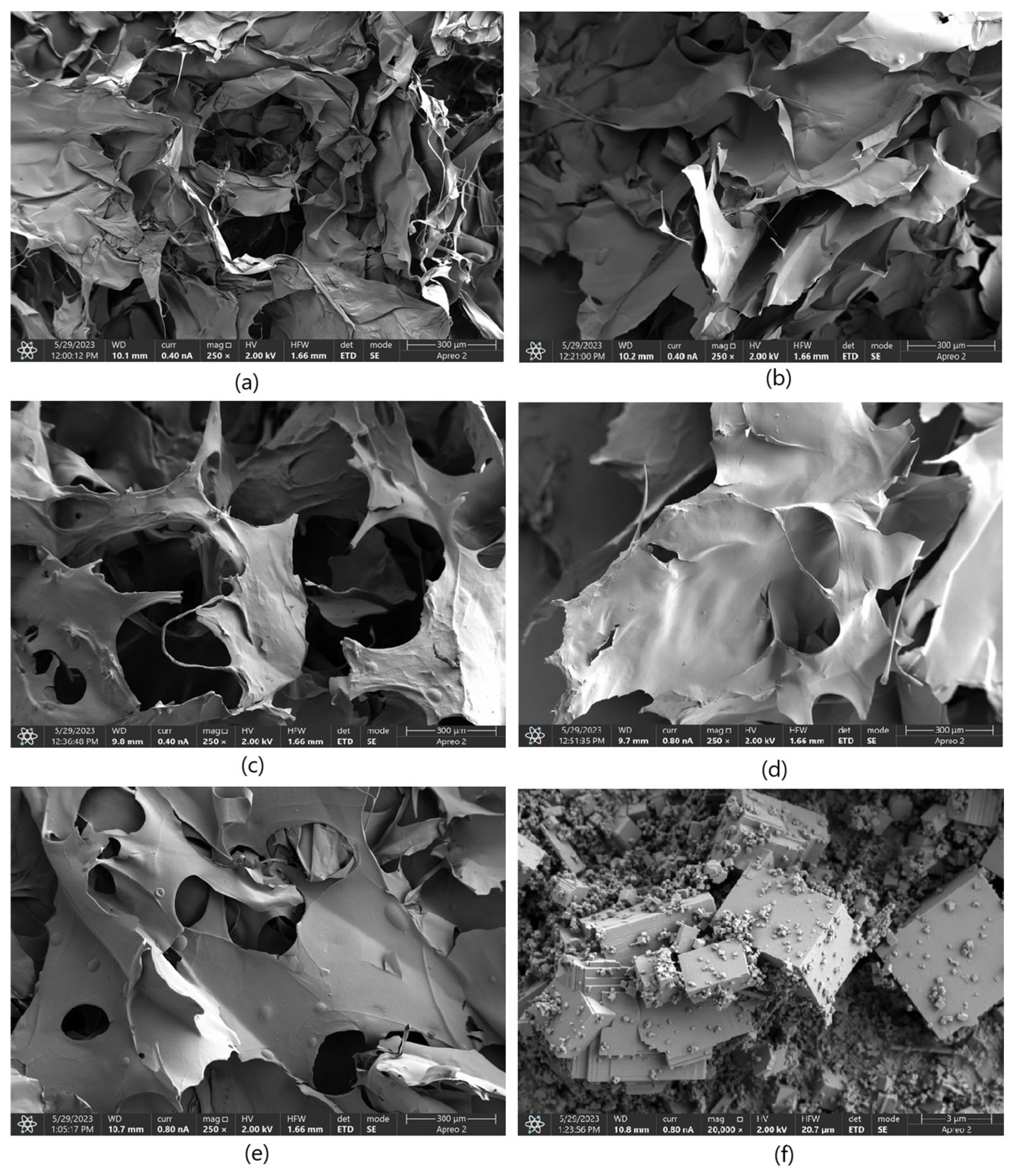 Molecules 30 01496 g010