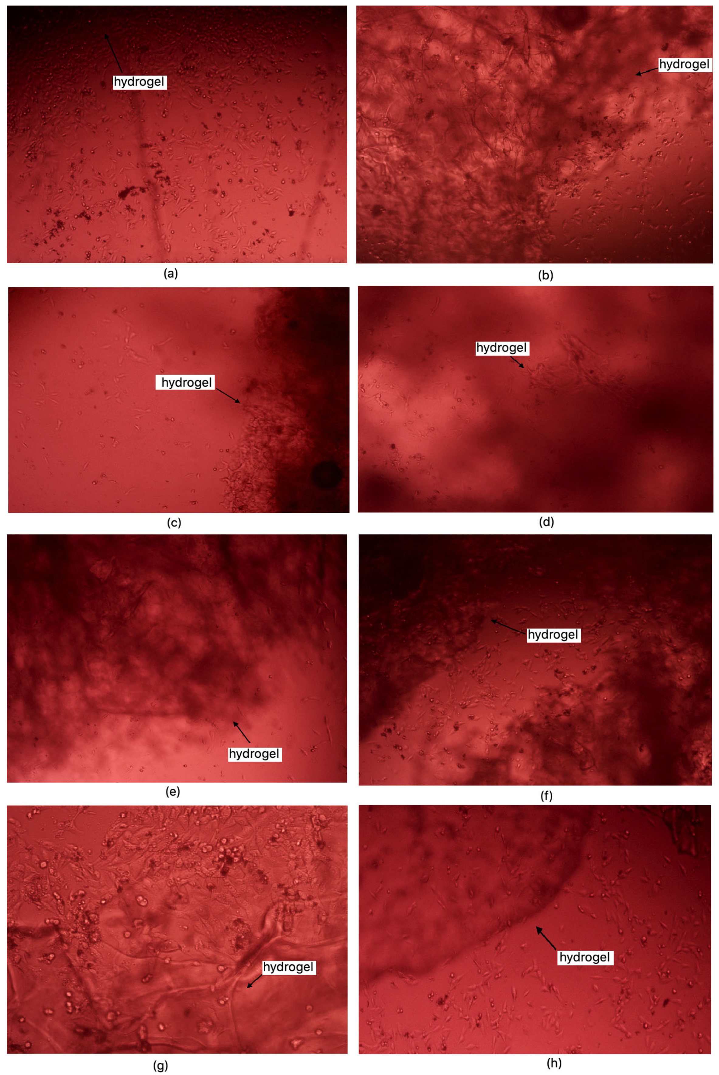 Molecules 30 01496 g017