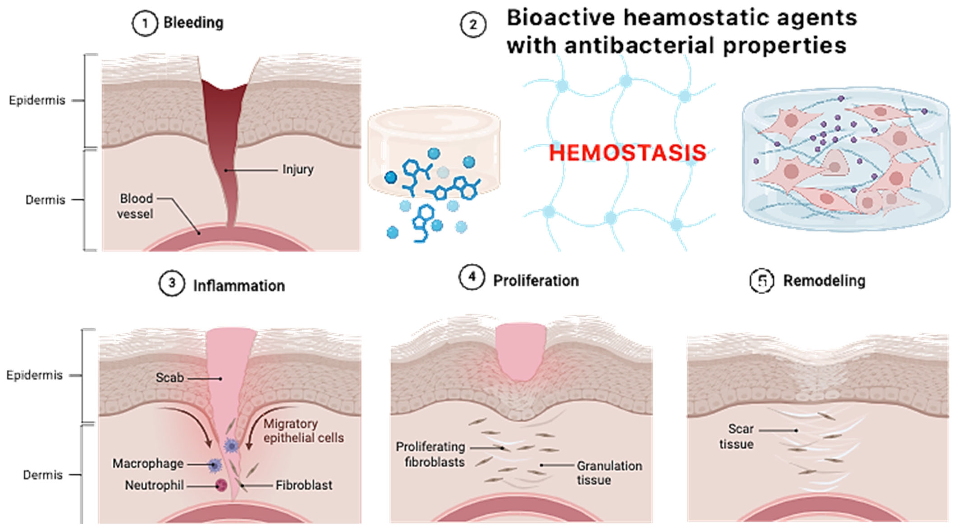 Molecules 30 01496 g018