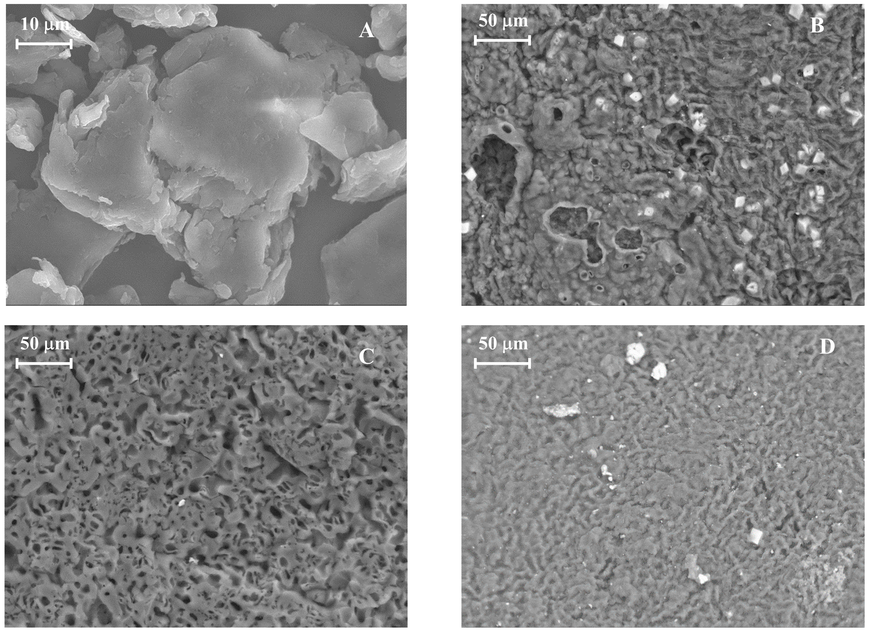 Molecules 30 01501 g003