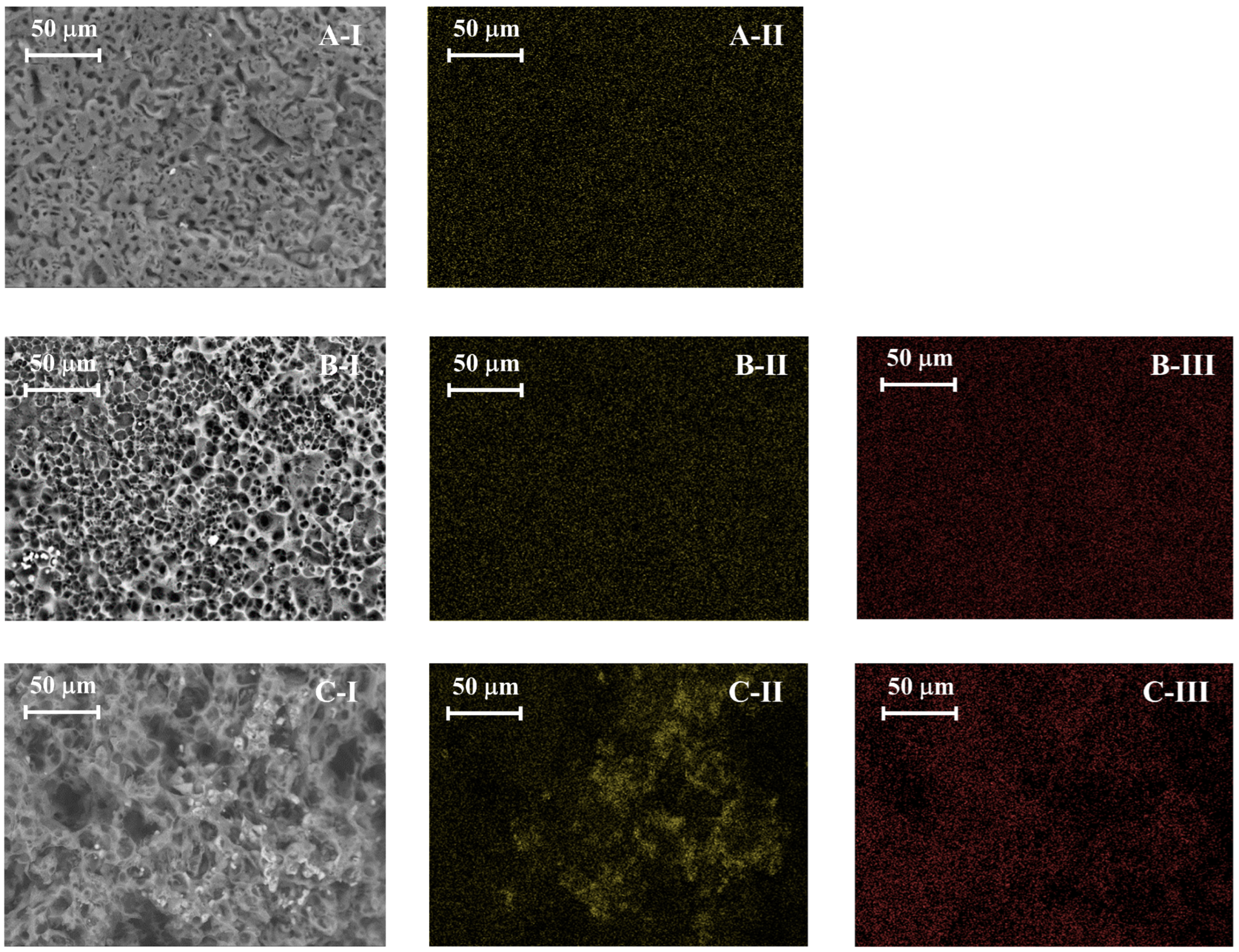 Molecules 30 01501 g010