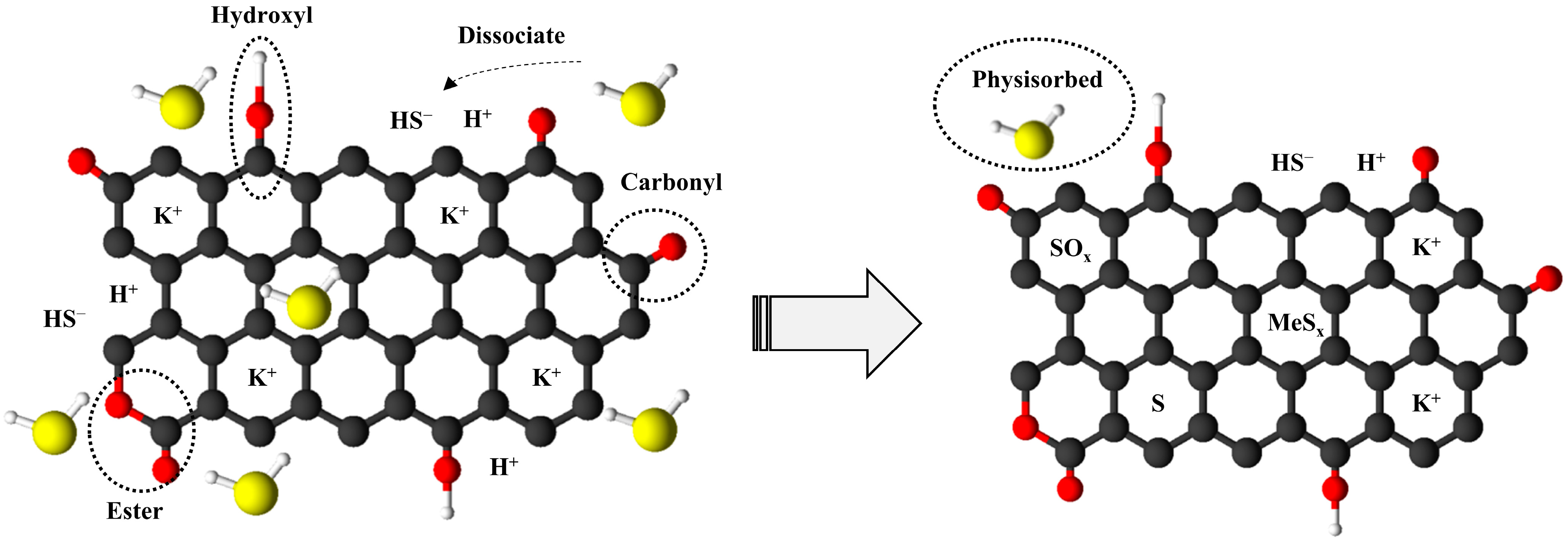 Molecules 30 01501 g011