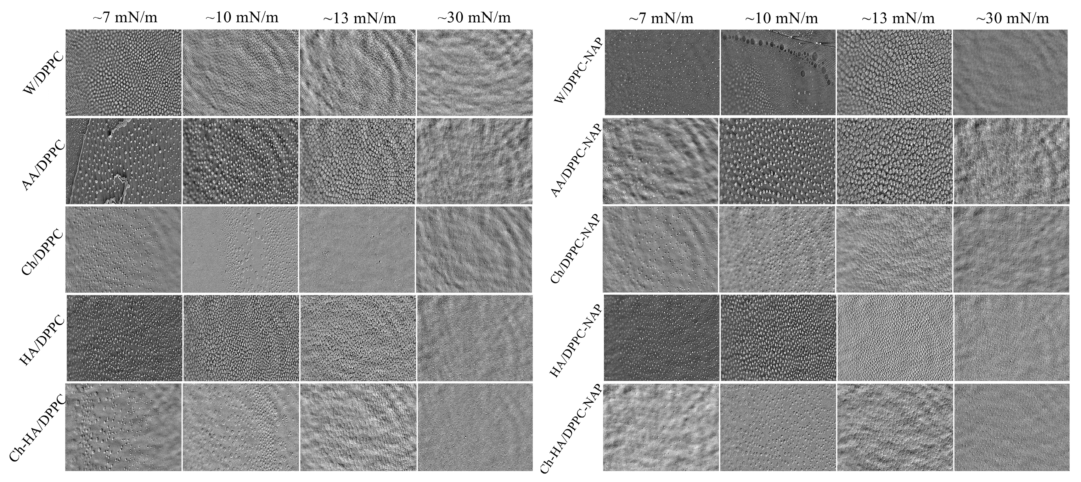 Molecules 30 01509 g002