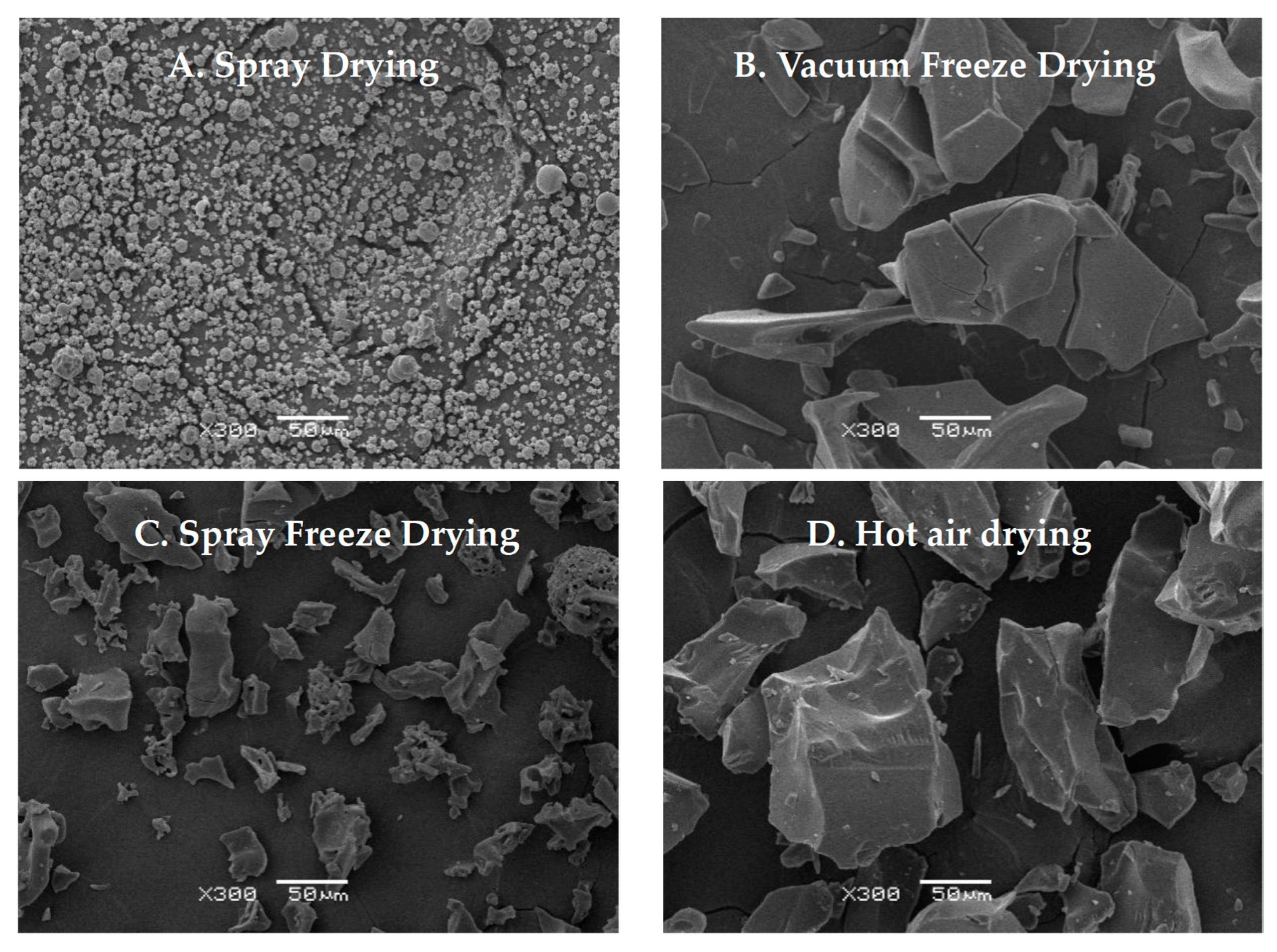 Molecules 30 01516 g005