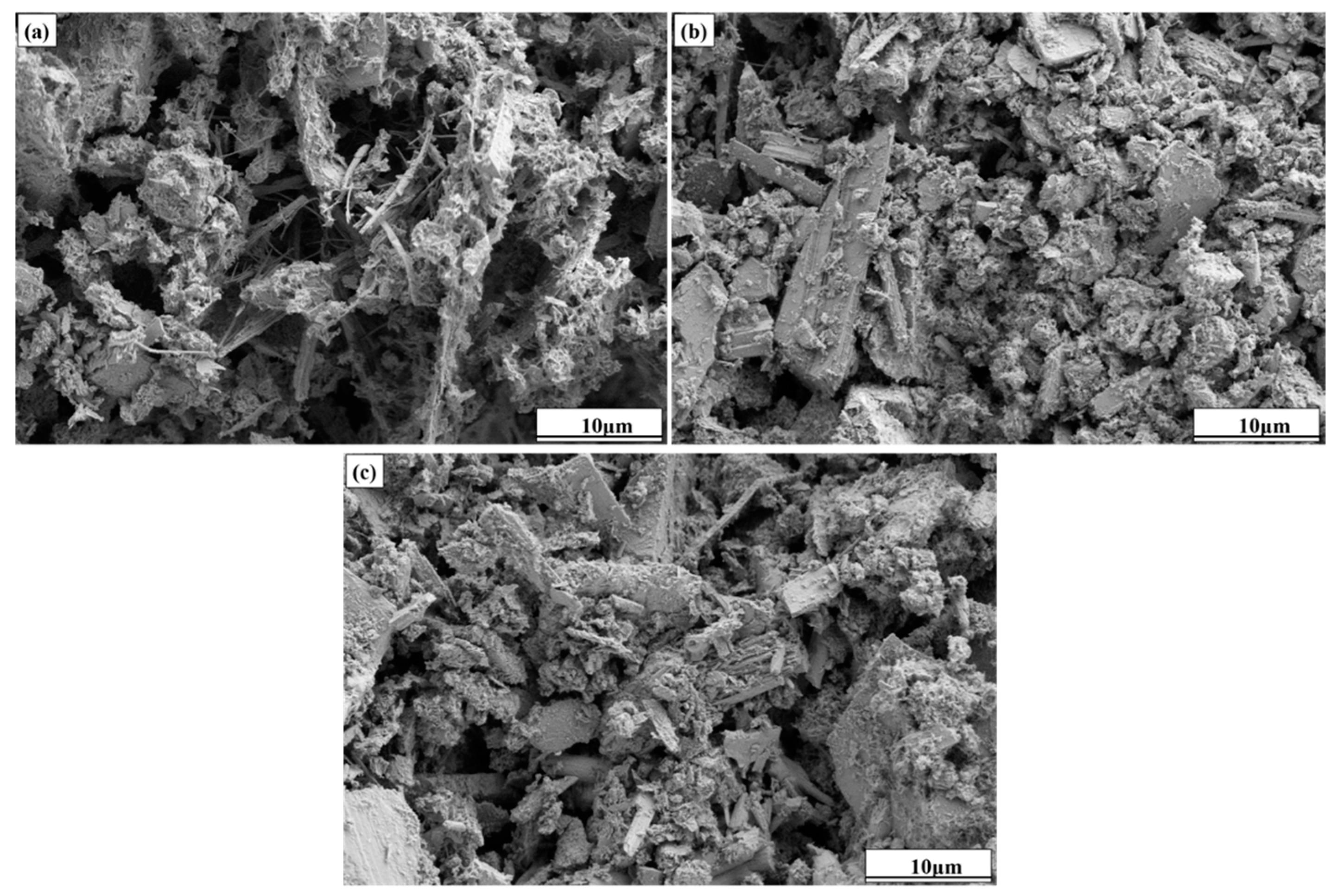 Molecules 30 01520 g007