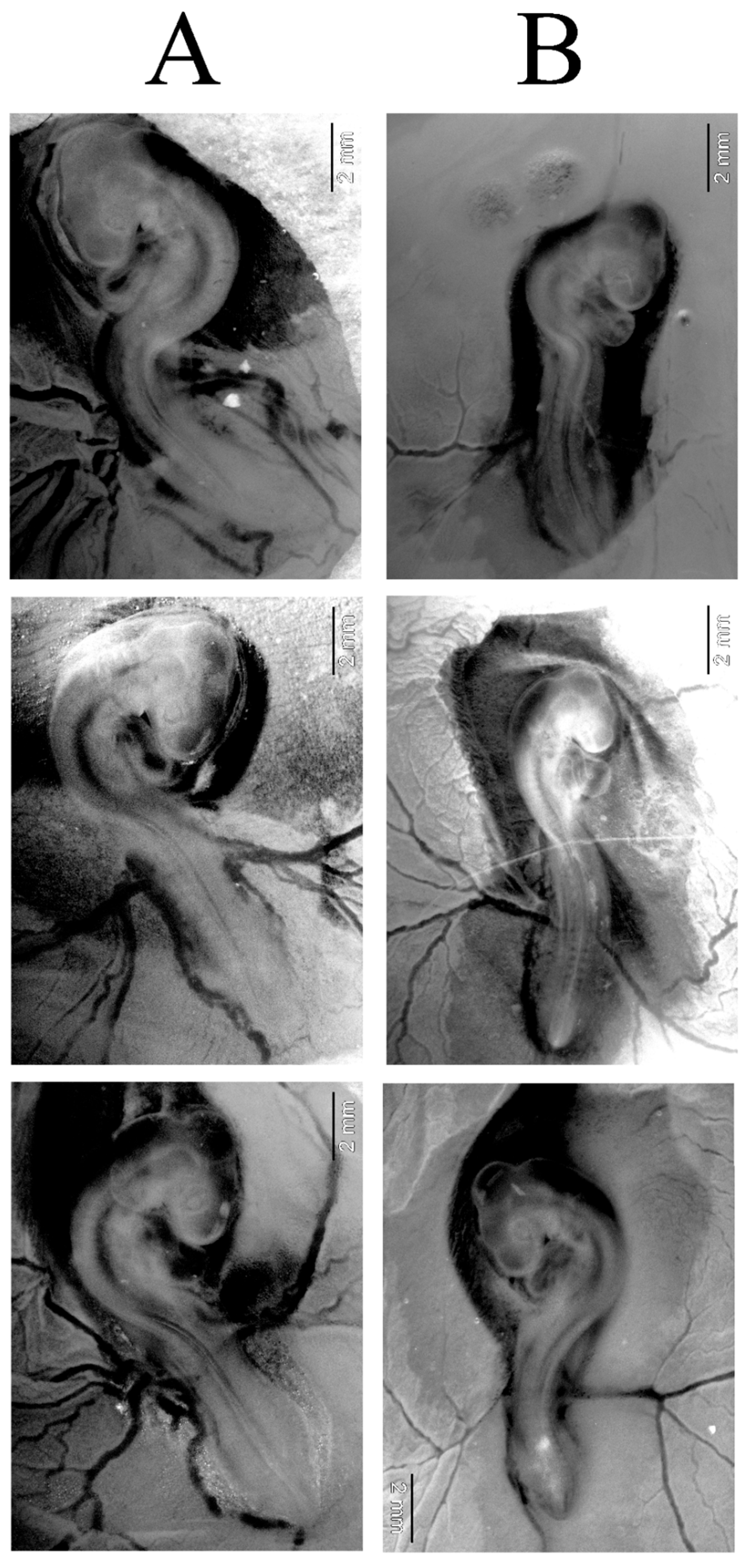 Molecules 30 01521 g003