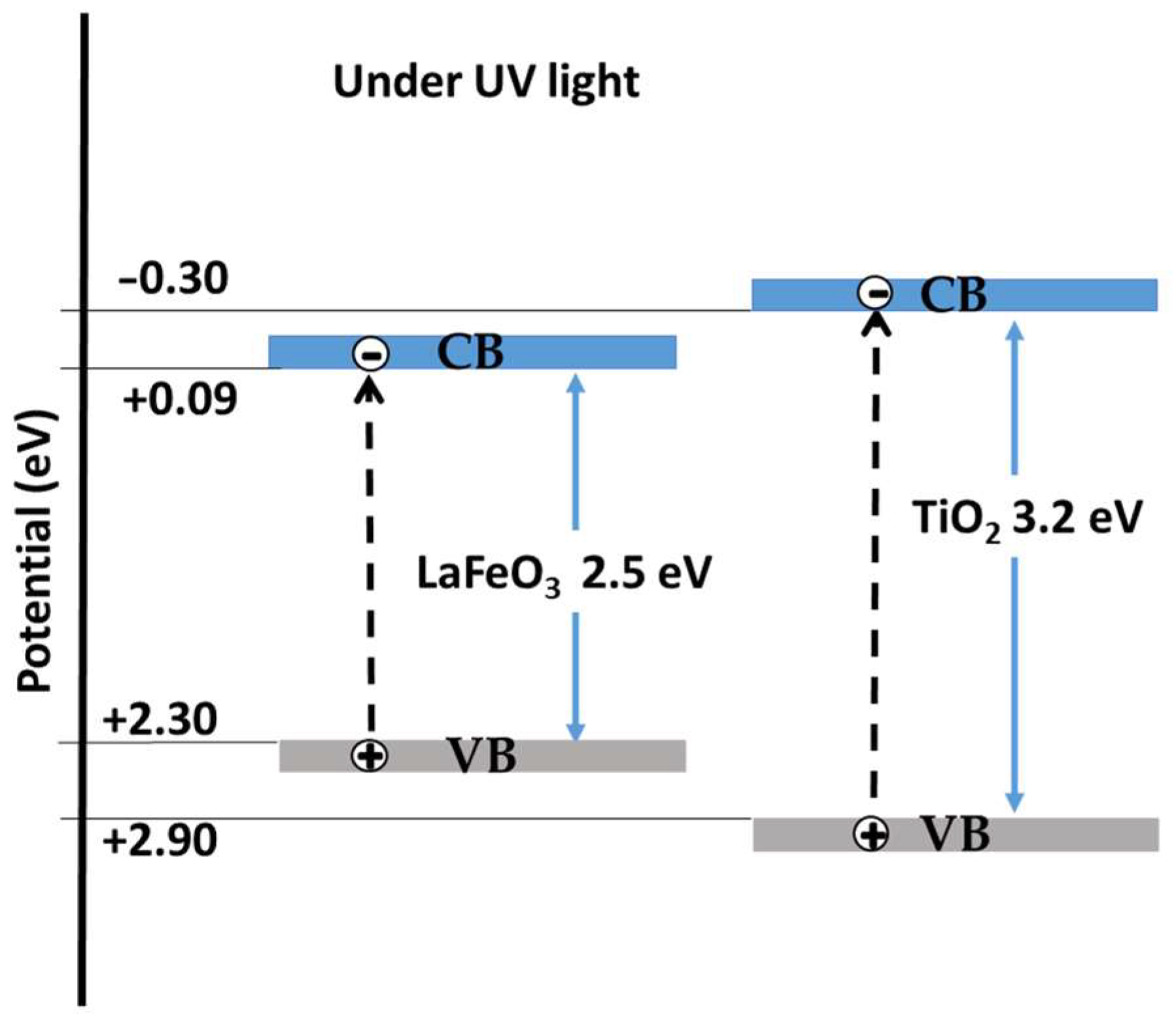 Molecules 30 01526 g009
