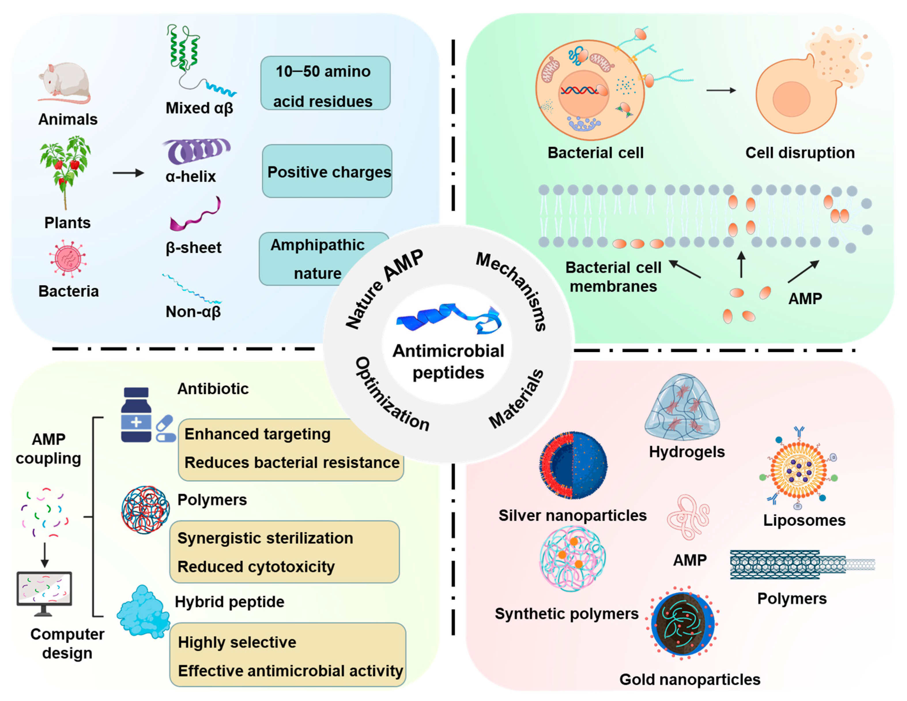 Molecules 30 01529 g001 Molecules 30 01529 g001