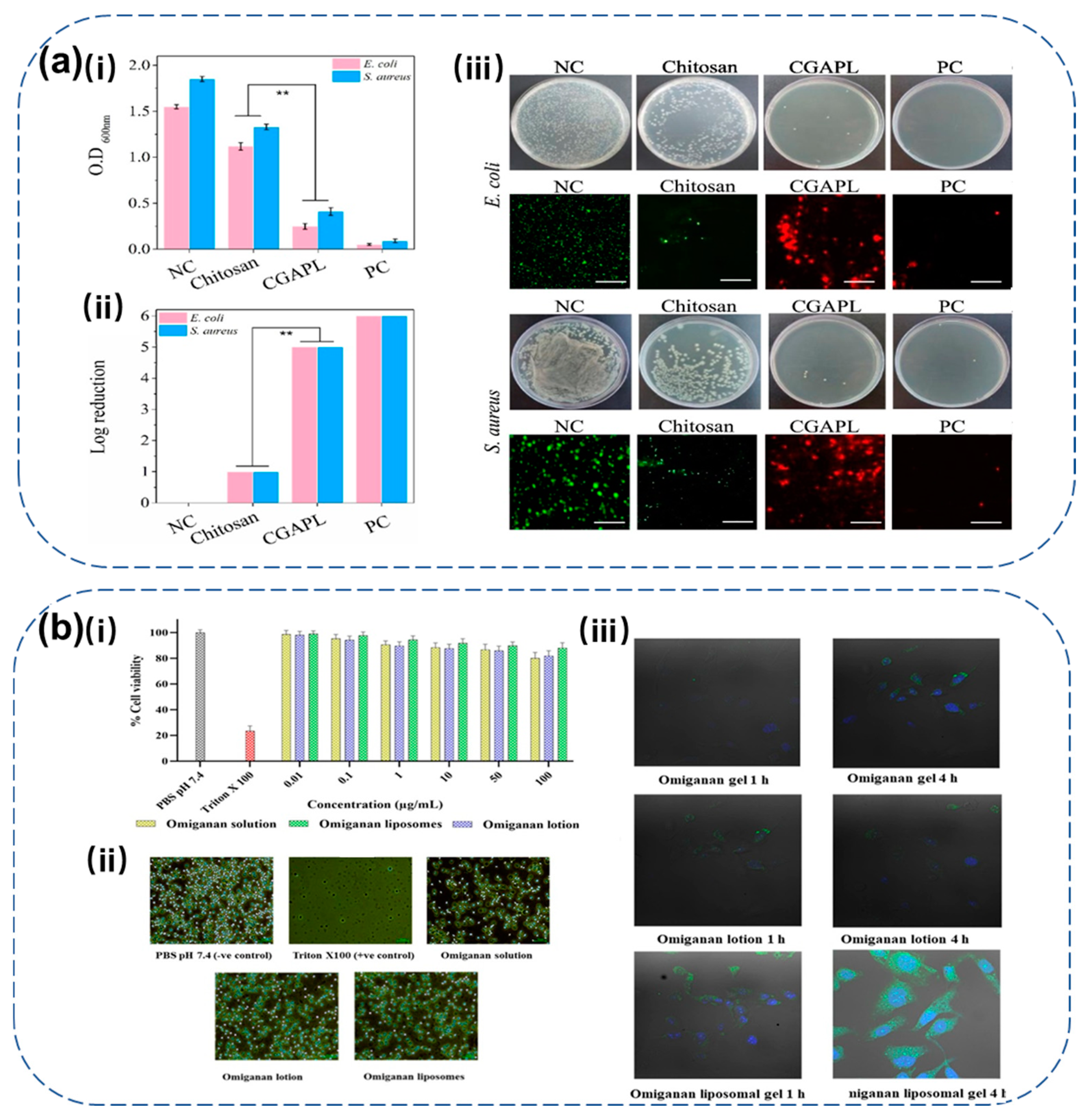Molecules 30 01529 g004 Molecules 30 01529 g004