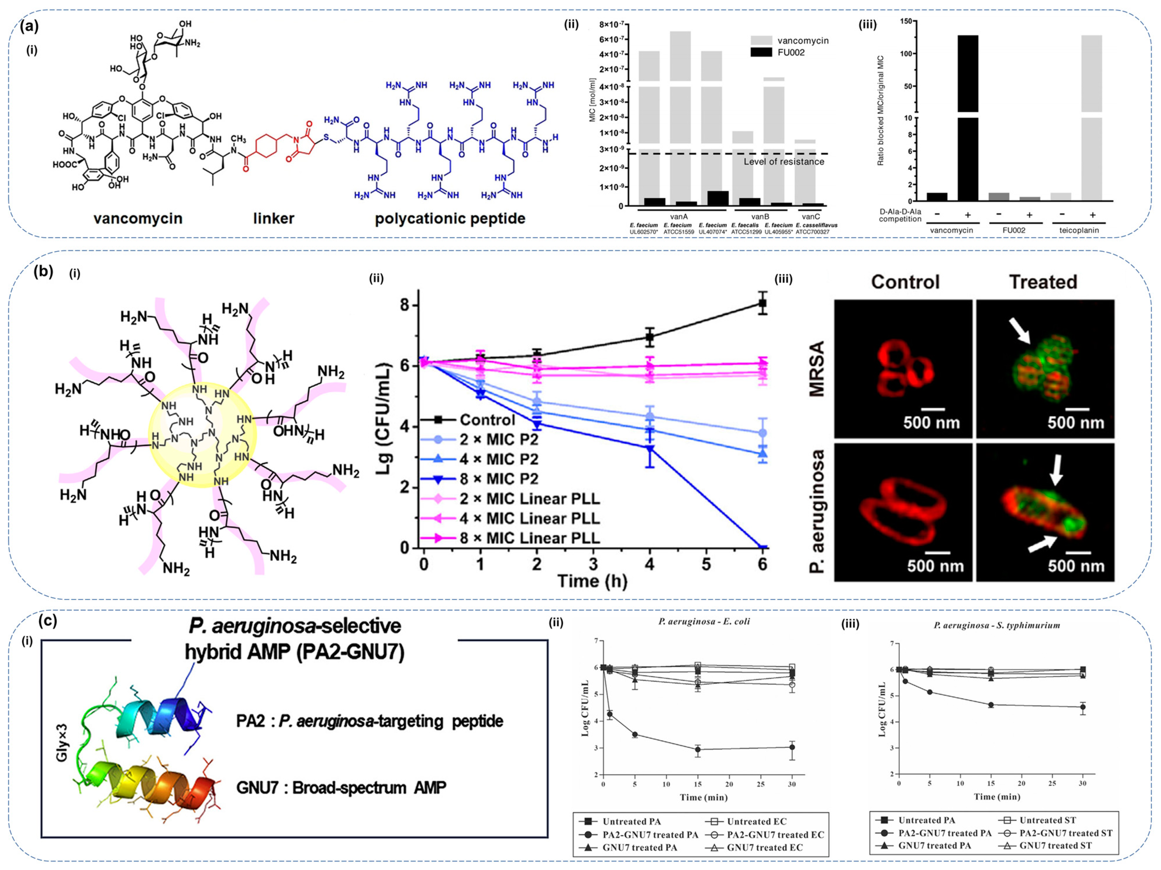 Molecules 30 01529 g005 Molecules 30 01529 g005