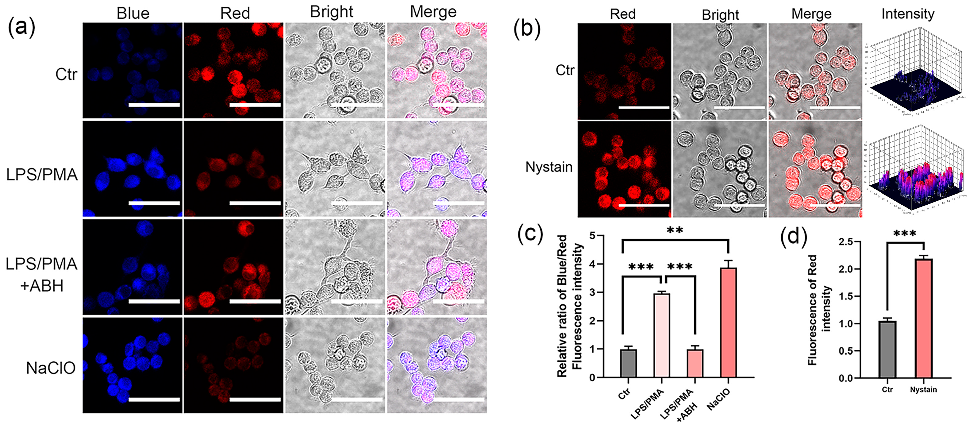 Molecules 30 01531 g004
