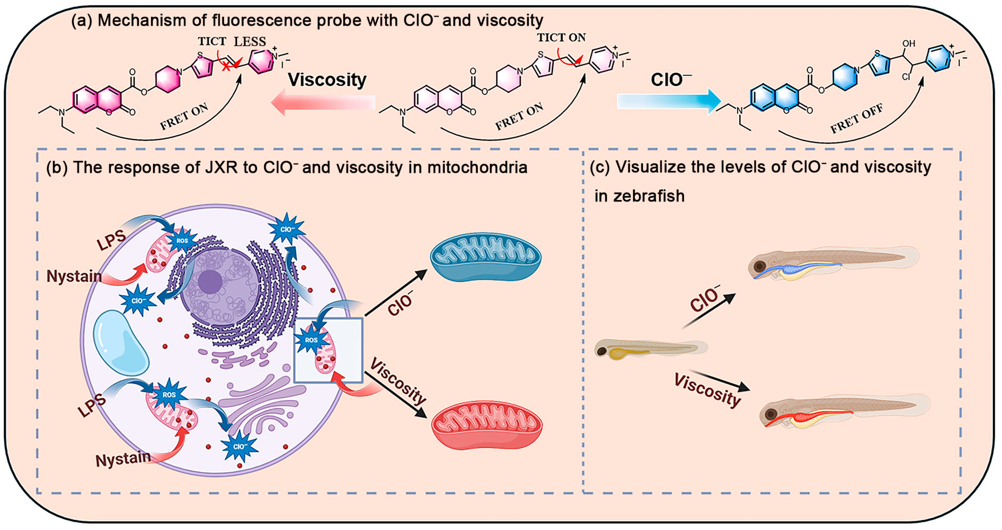 Molecules 30 01531 sch001