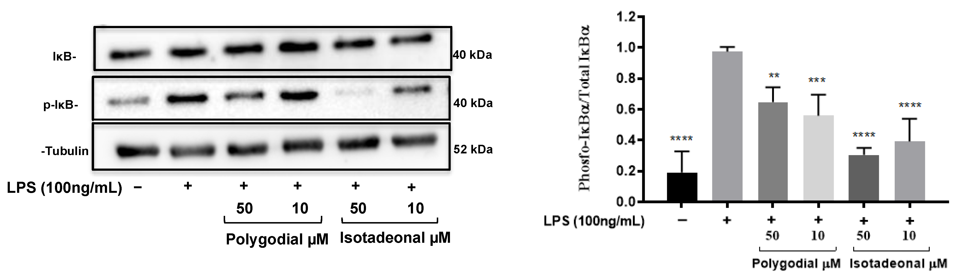 Molecules 30 01555 g003
