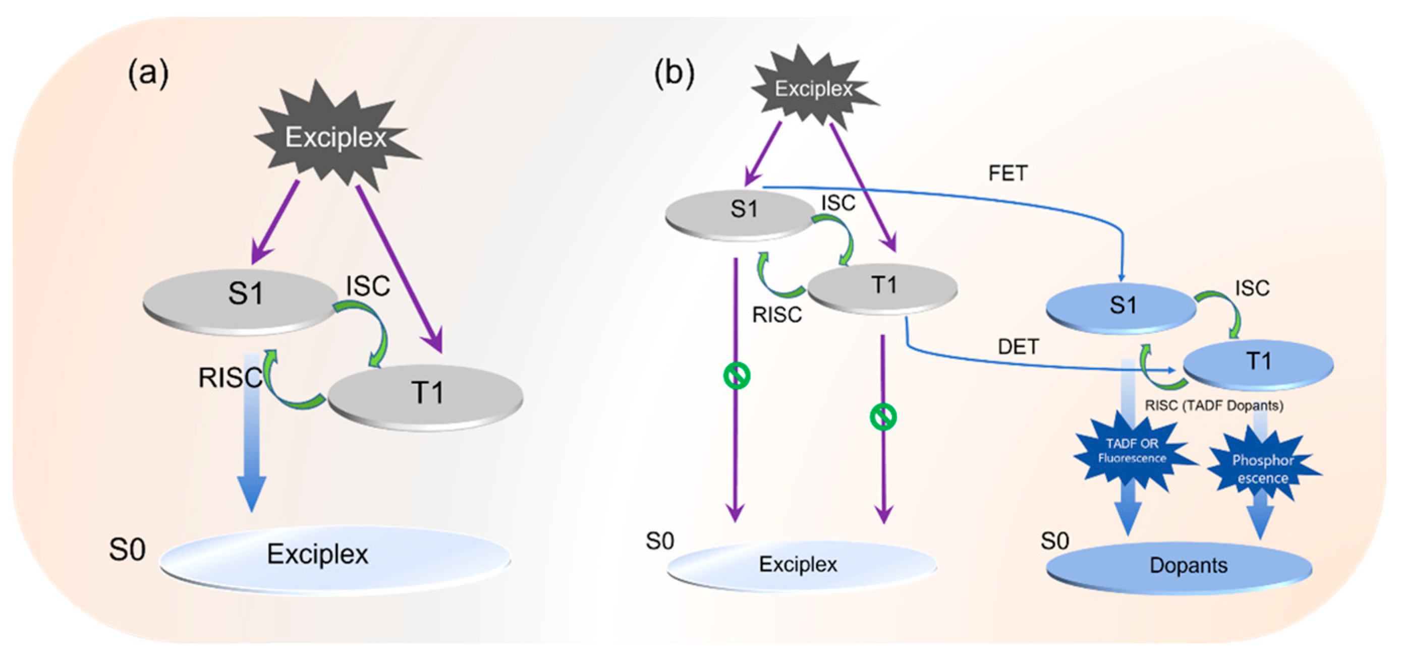 Molecules 30 01556 g001