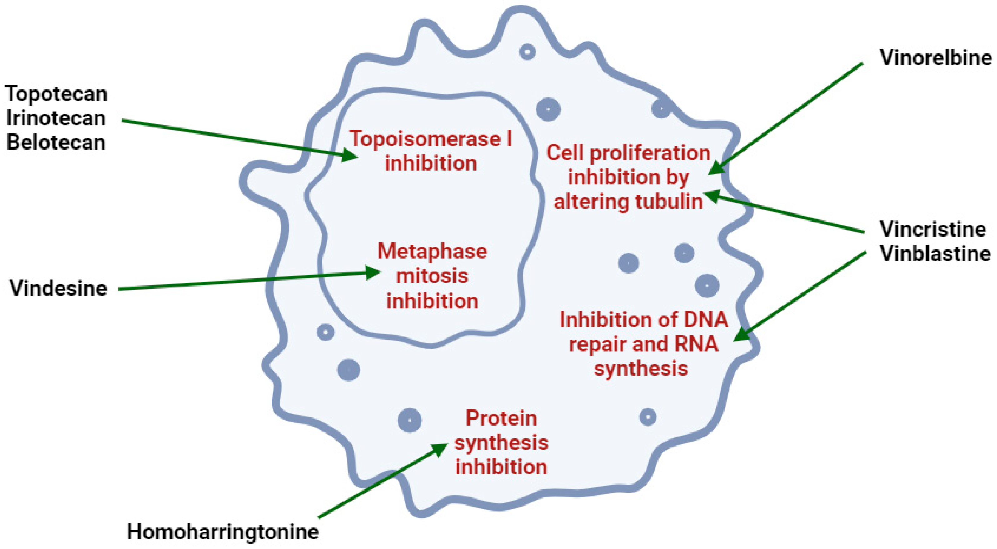 Molecules 30 01561 g001