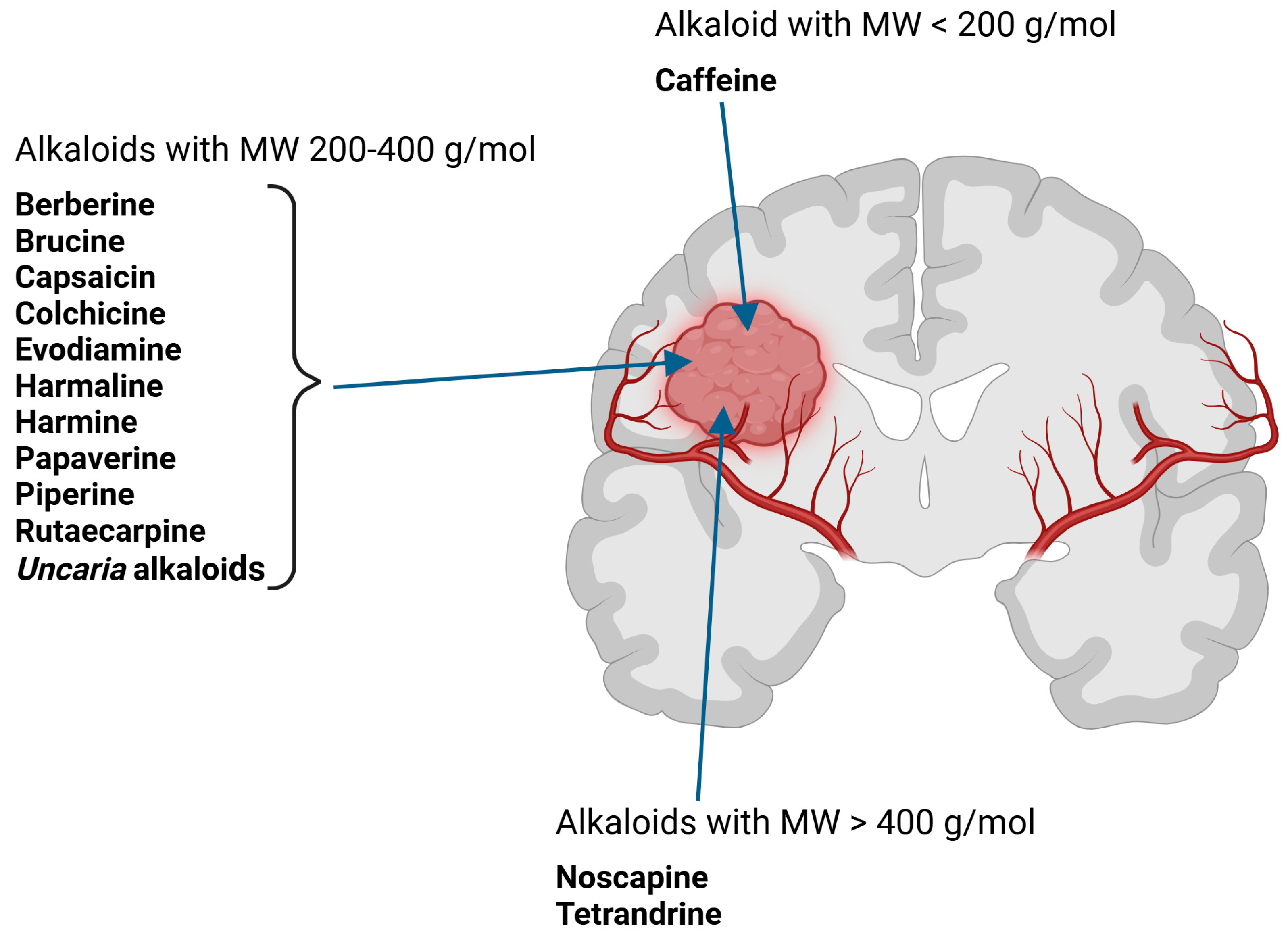 Molecules 30 01561 g002