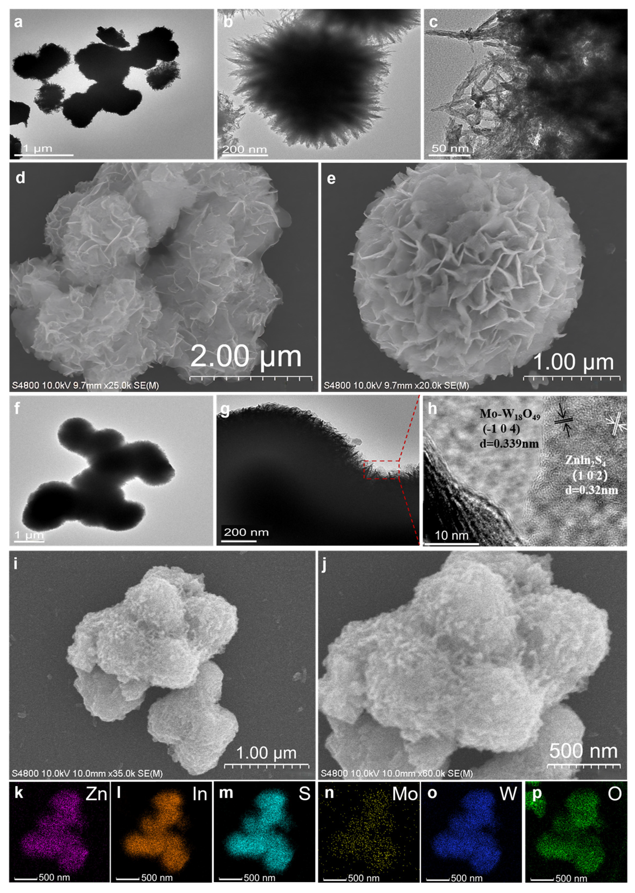 Molecules 30 01563 g002