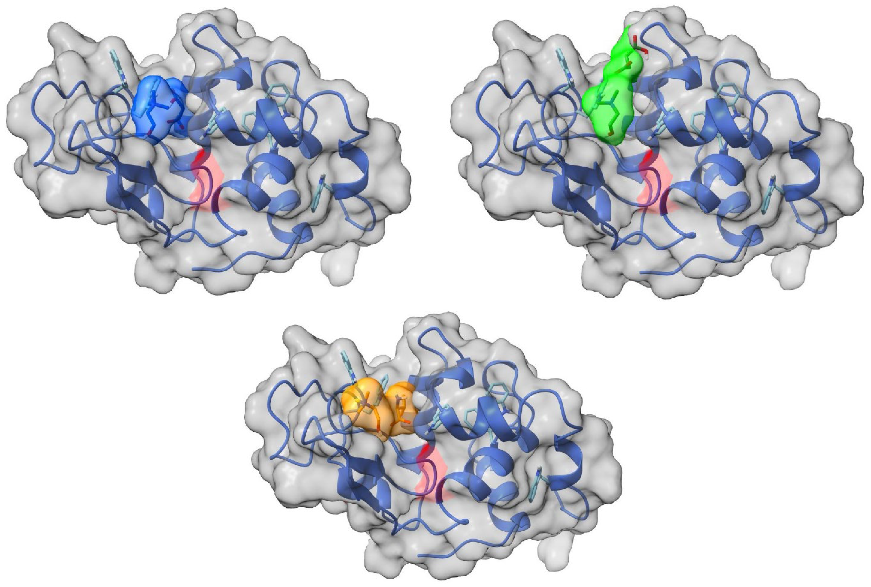Molecules 30 01574 g008 Molecules 30 01574 g008