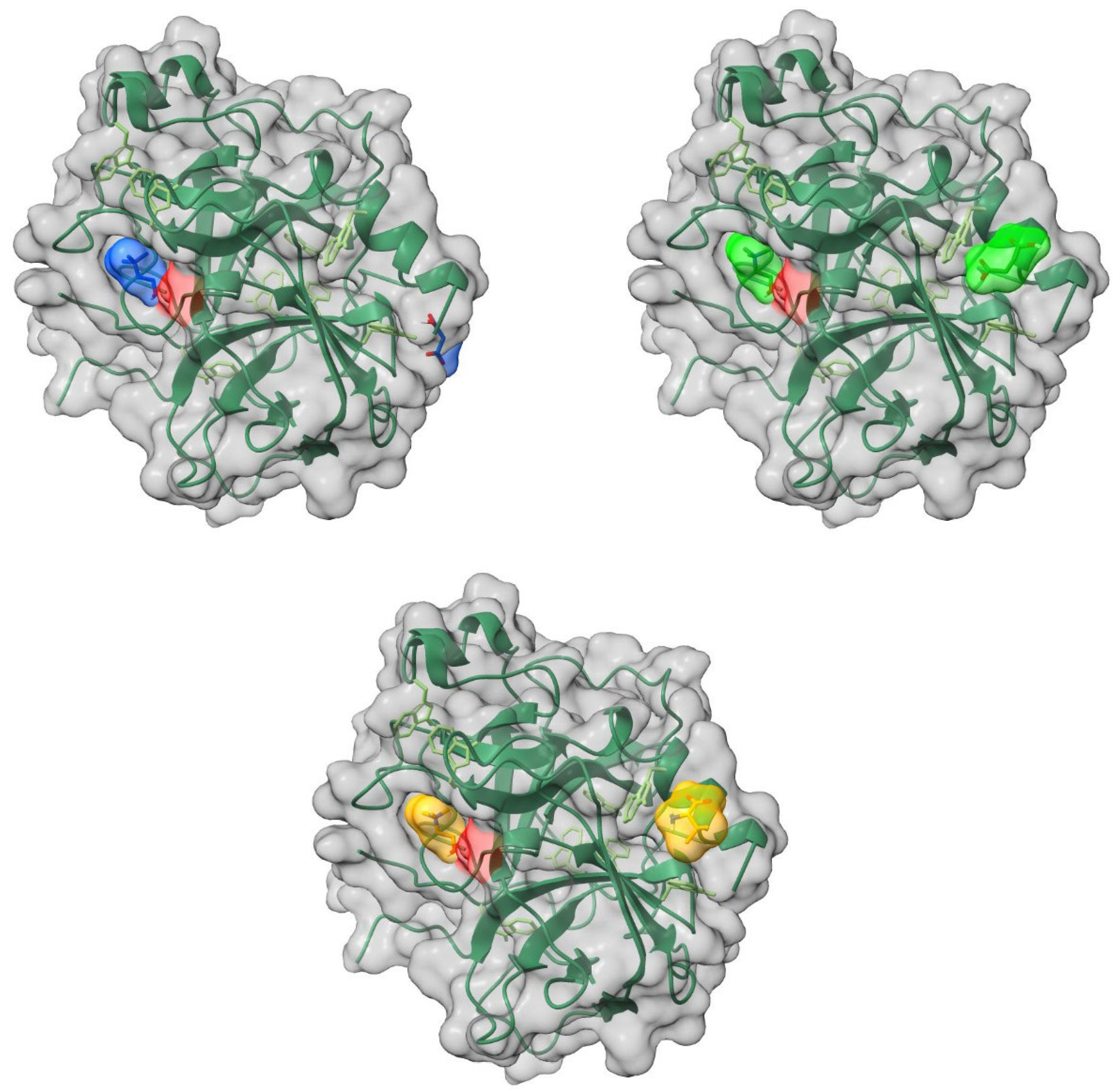 Molecules 30 01574 g009 Molecules 30 01574 g009