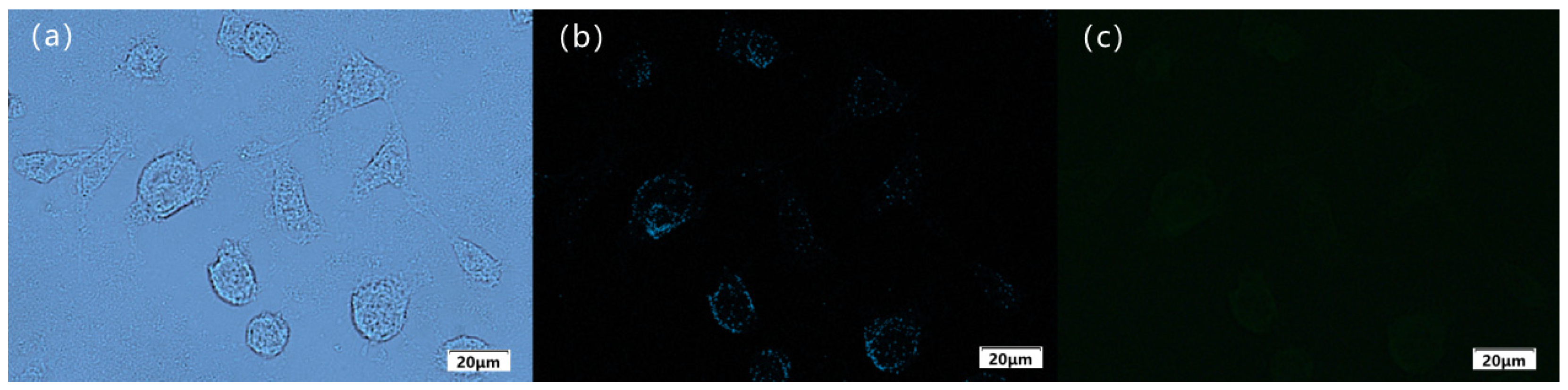 Molecules 30 01579 g011 Molecules 30 01579 g011