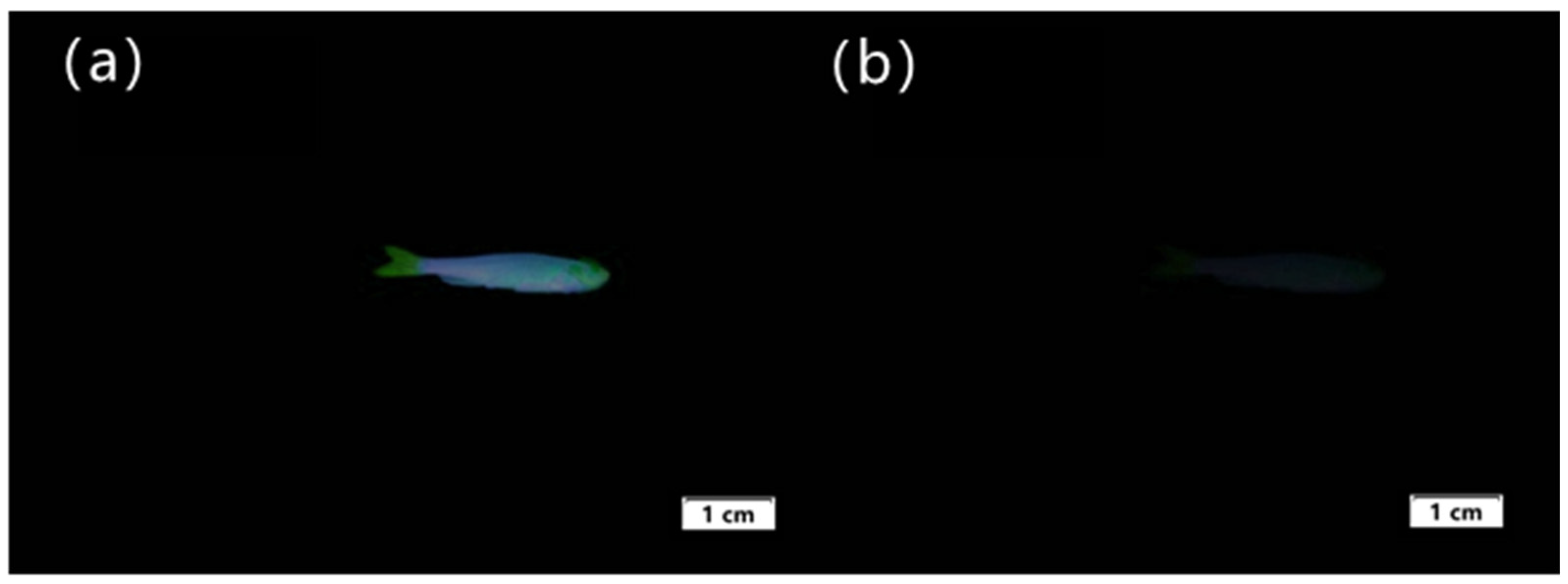 Molecules 30 01579 g012 Molecules 30 01579 g012