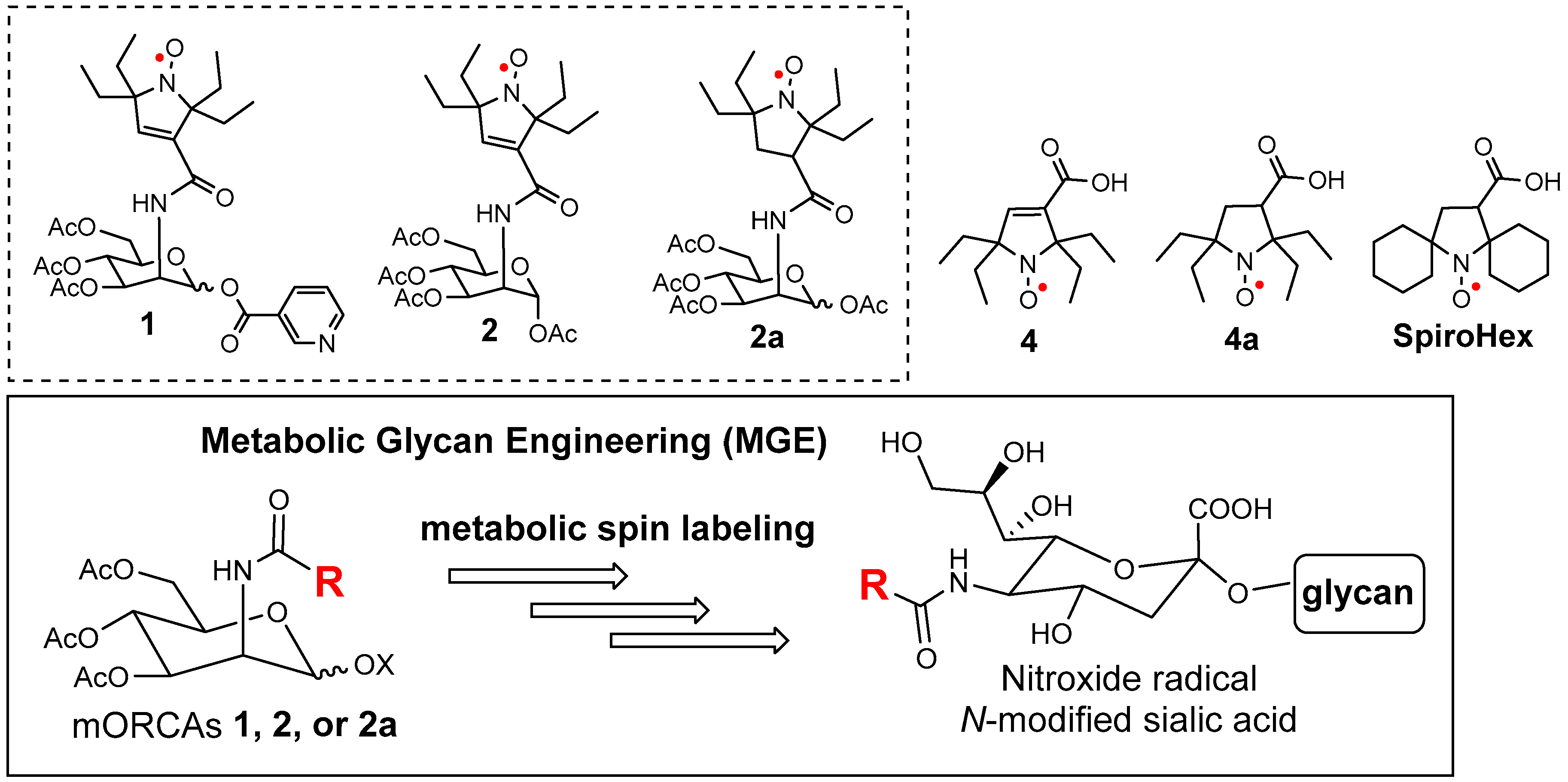 Molecules 30 01581 g001