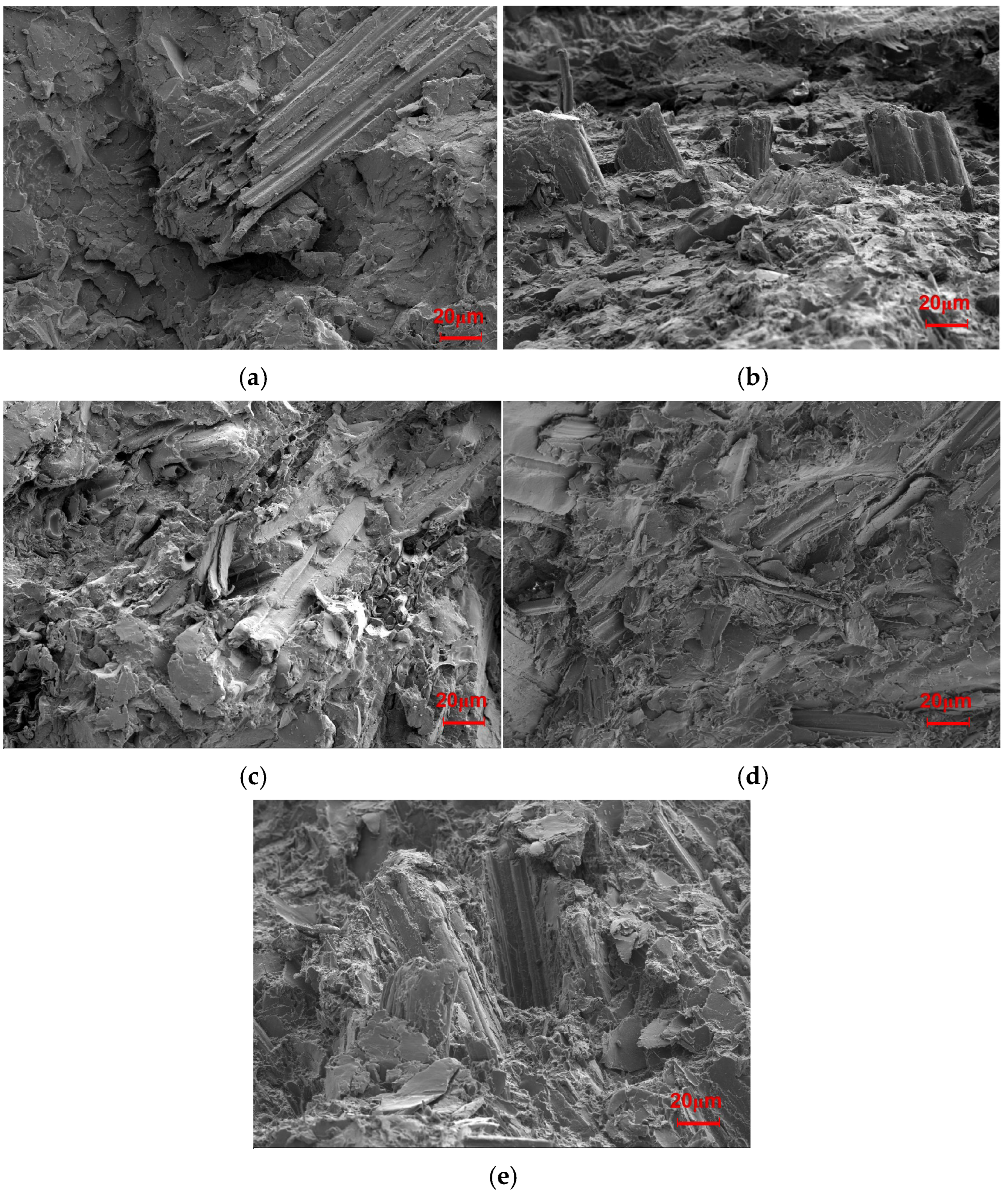 Molecules 30 01583 g002 Molecules 30 01583 g002