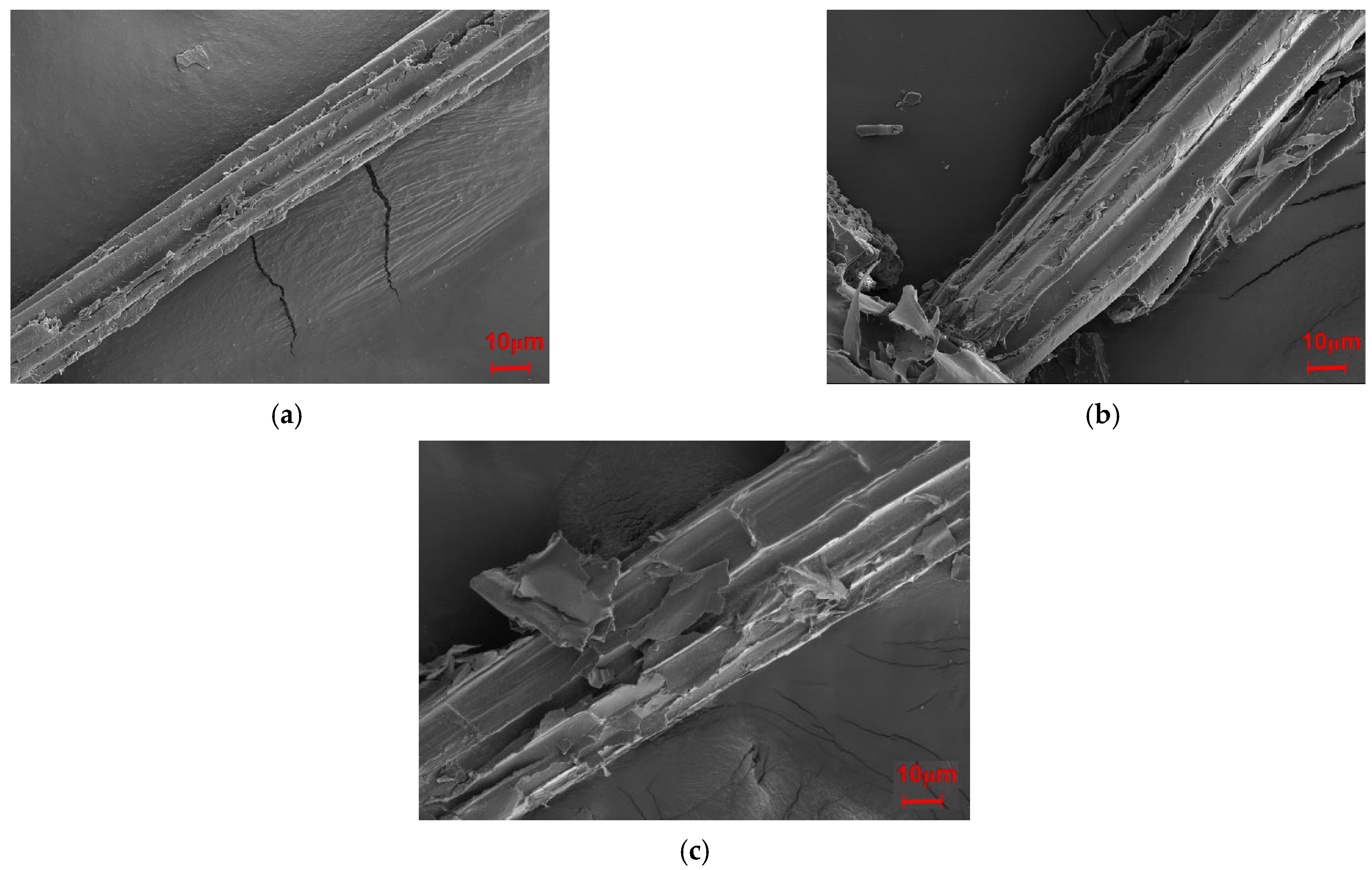 Molecules 30 01583 g008 Molecules 30 01583 g008