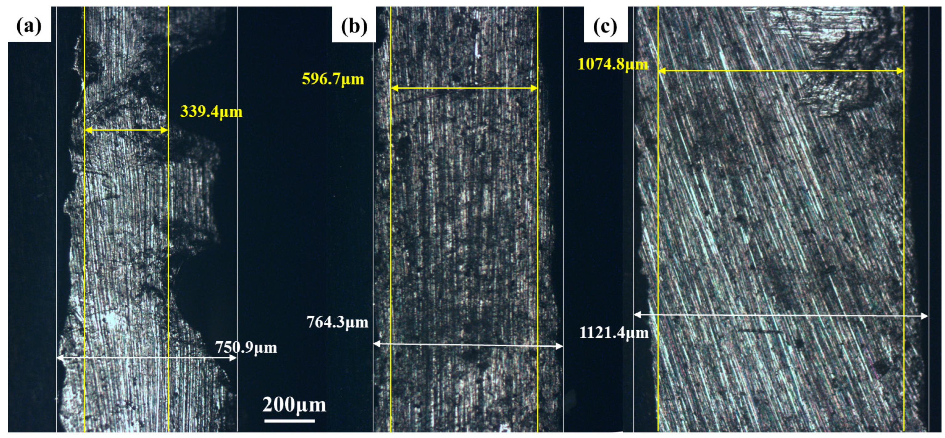 Molecules 30 01591 g006