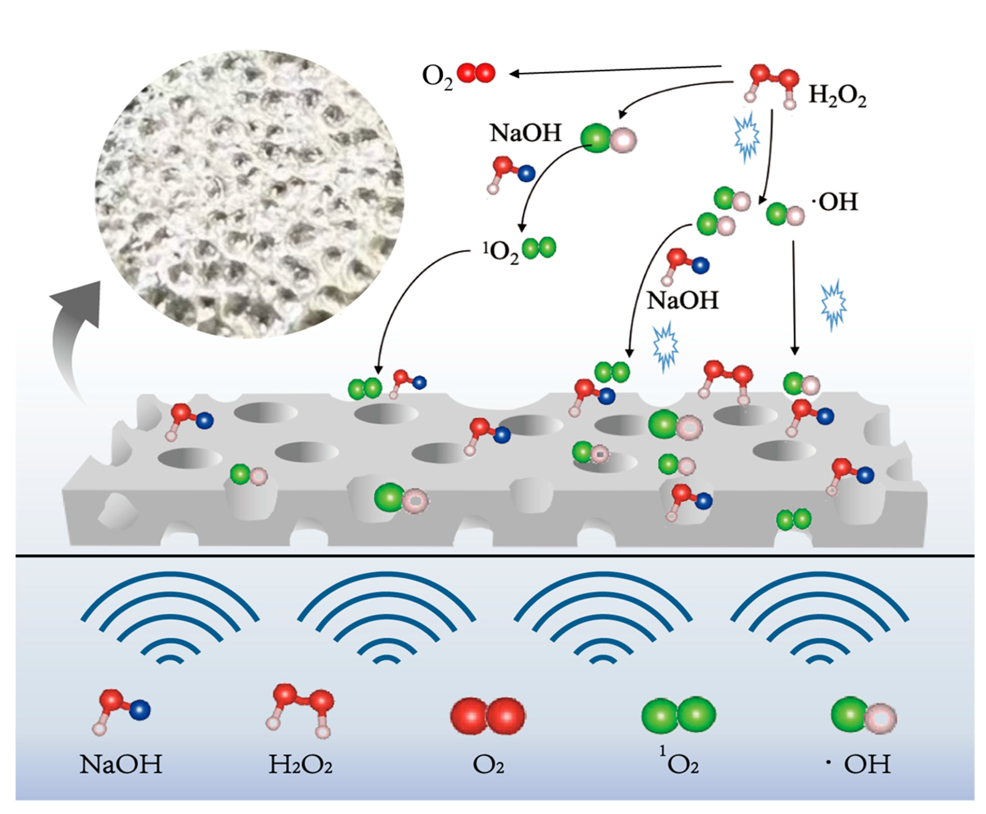 Molecules 30 01591 g008