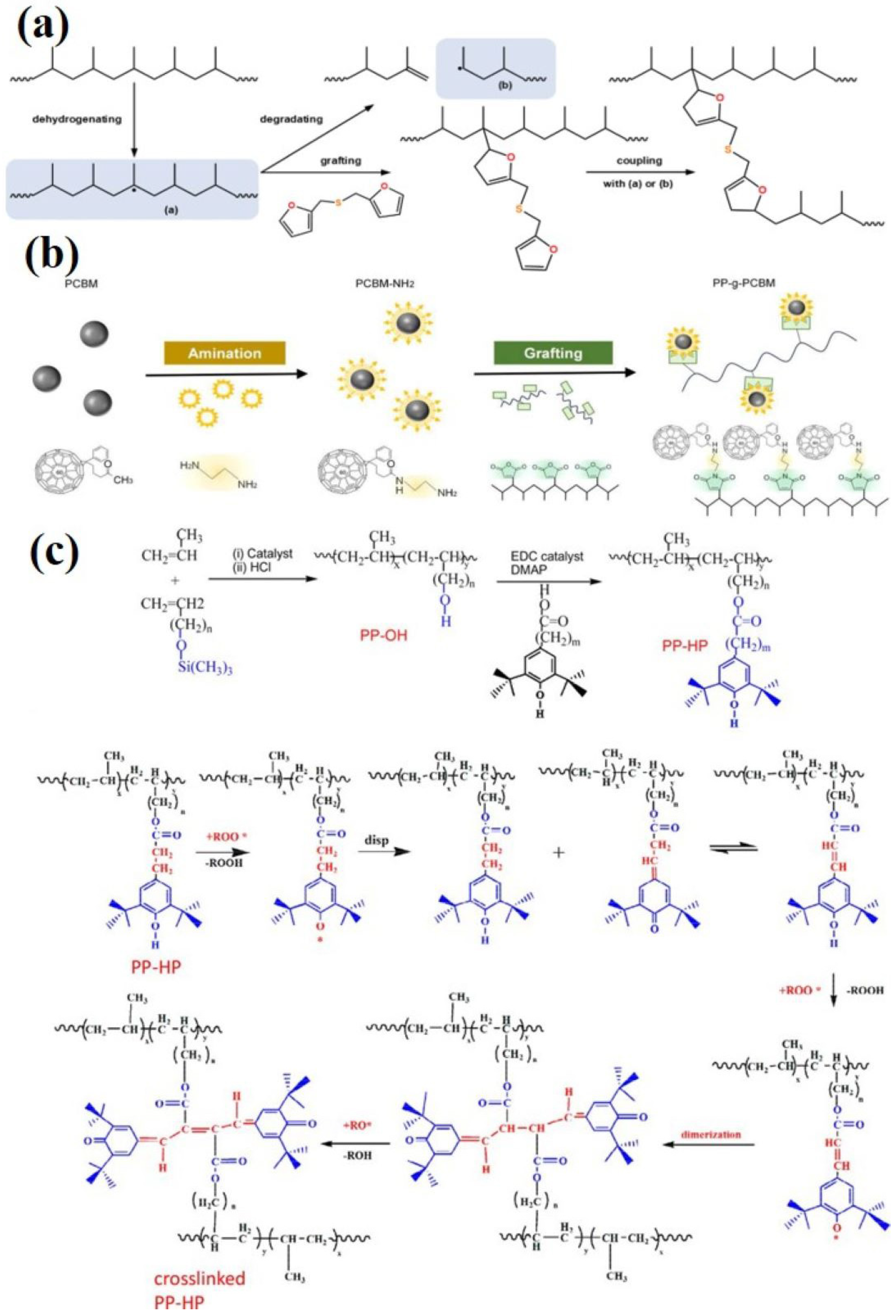 Molecules 30 01596 g010 Molecules 30 01596 g010