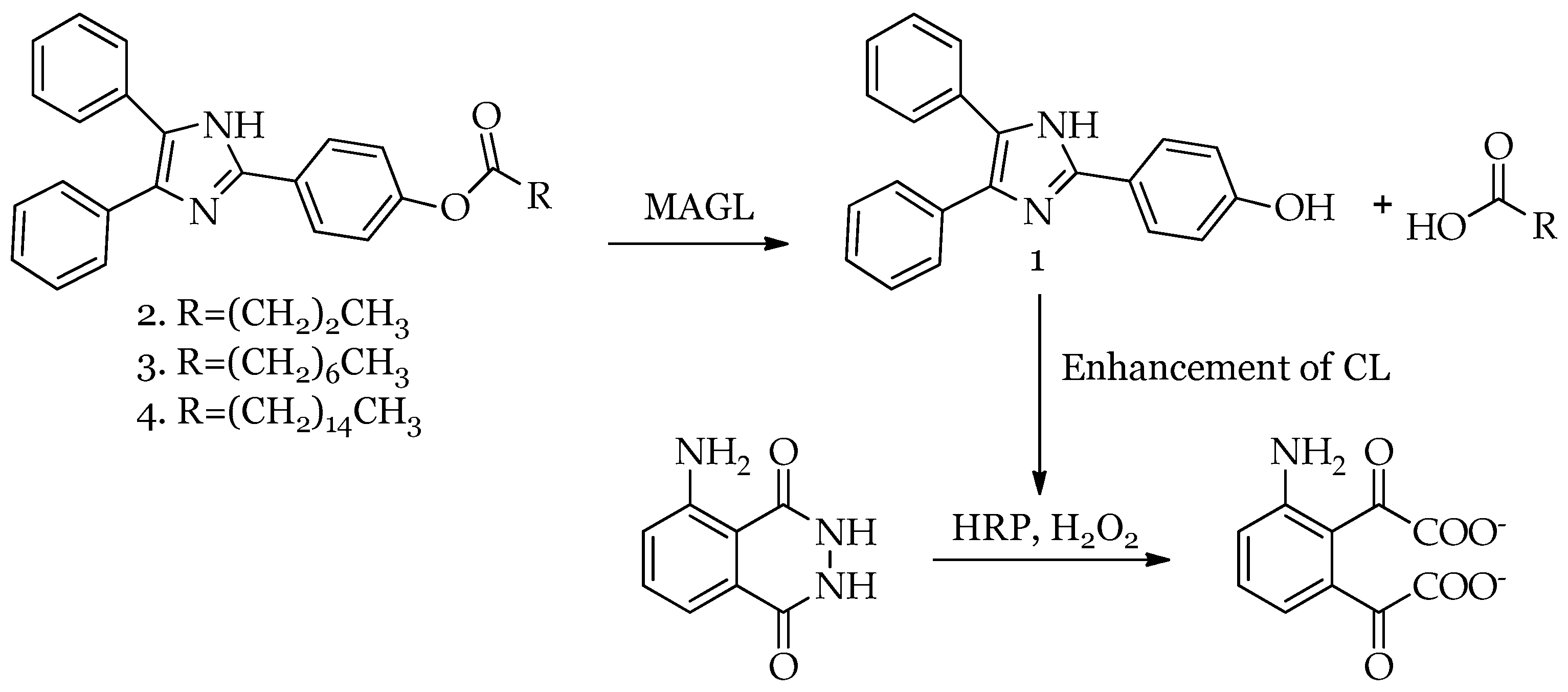 Molecules 30 01605 g001
