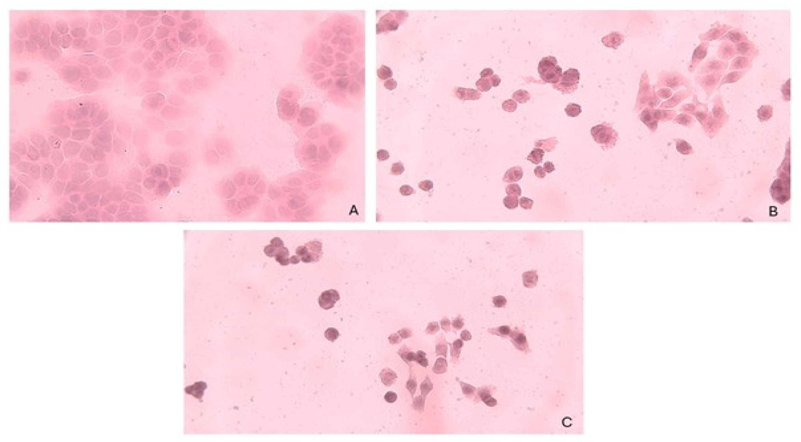 Molecules 30 01611 g005 Molecules 30 01611 g005