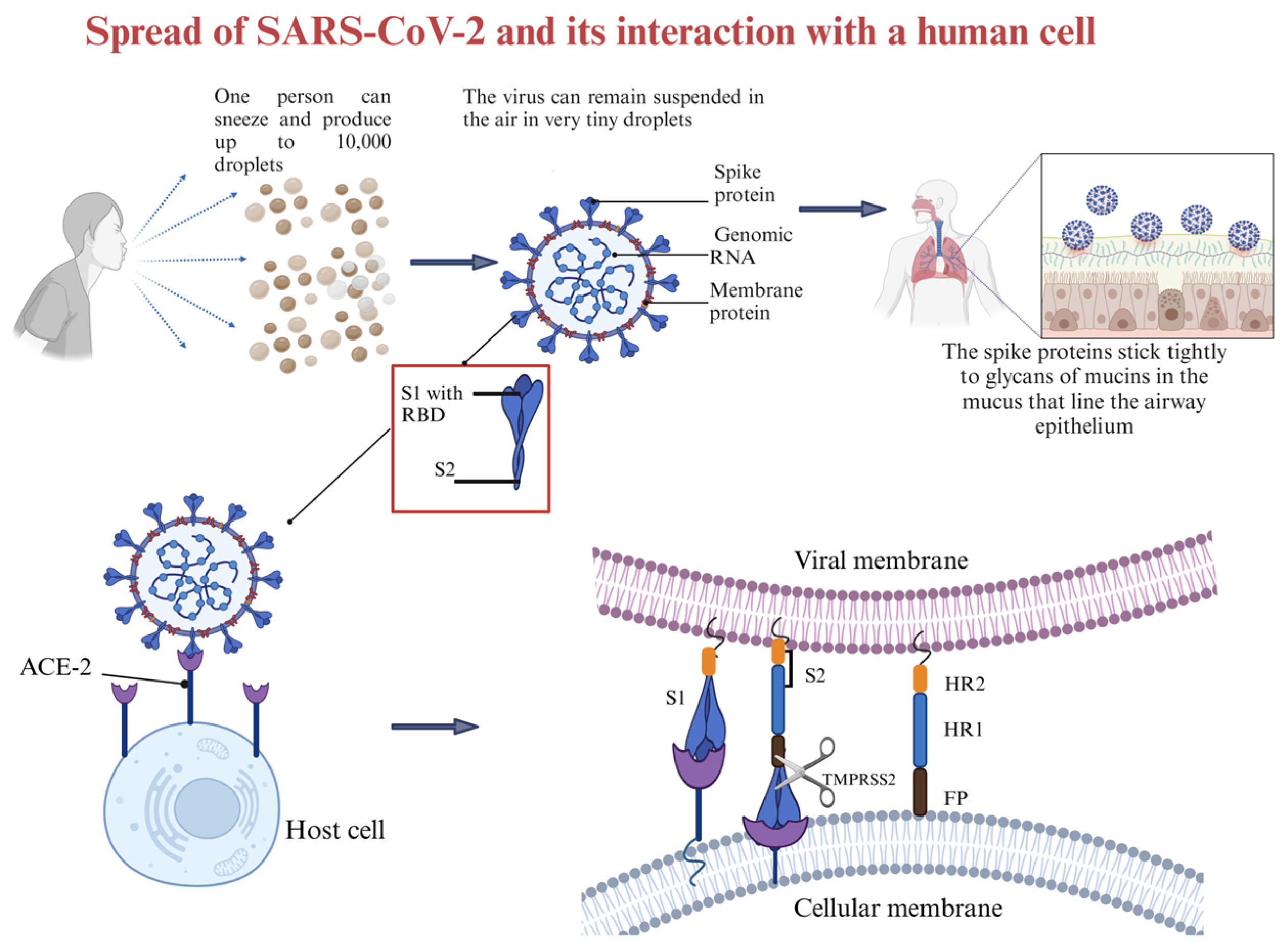 Molecules 30 01651 g003