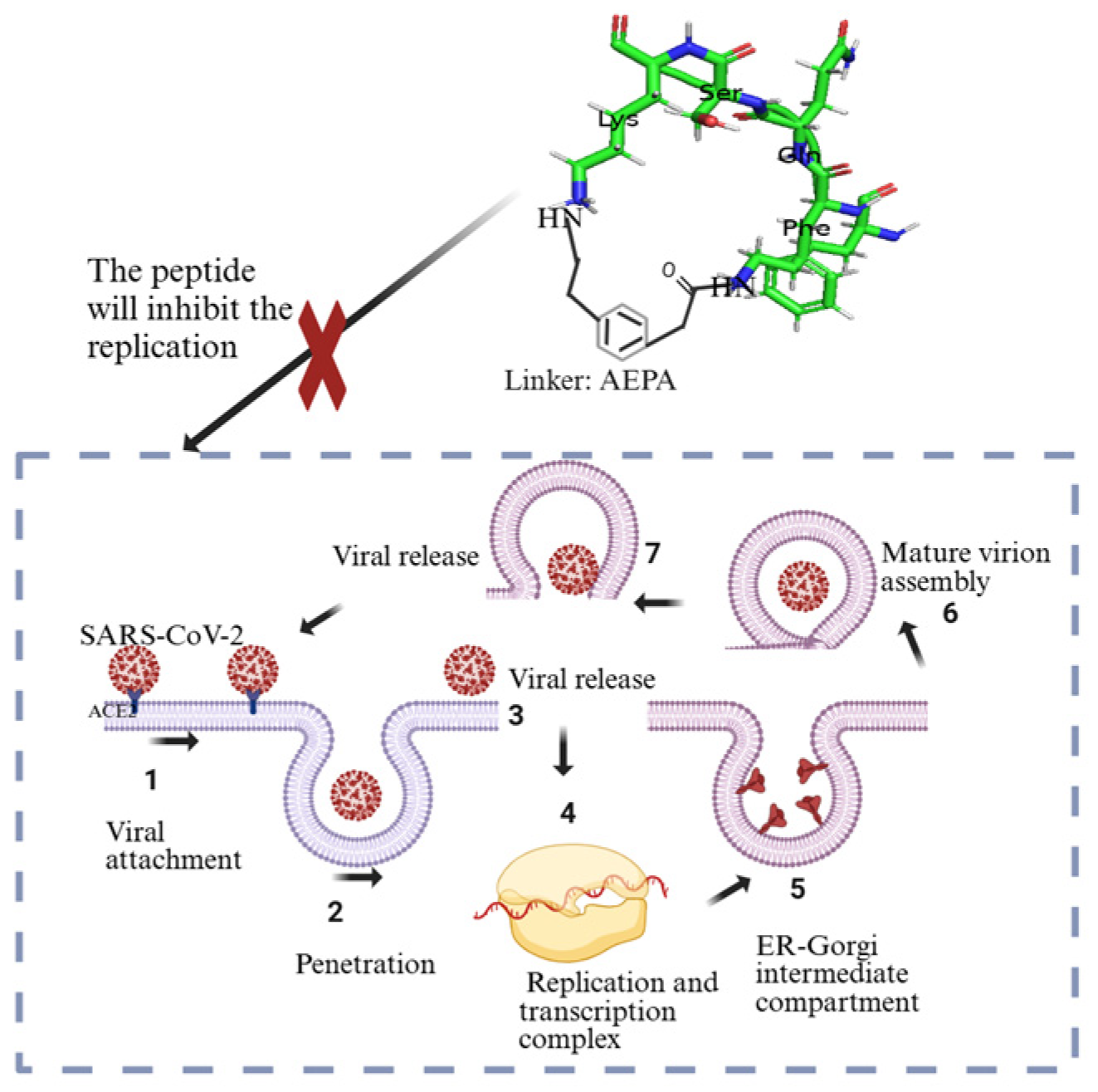 Molecules 30 01651 g008