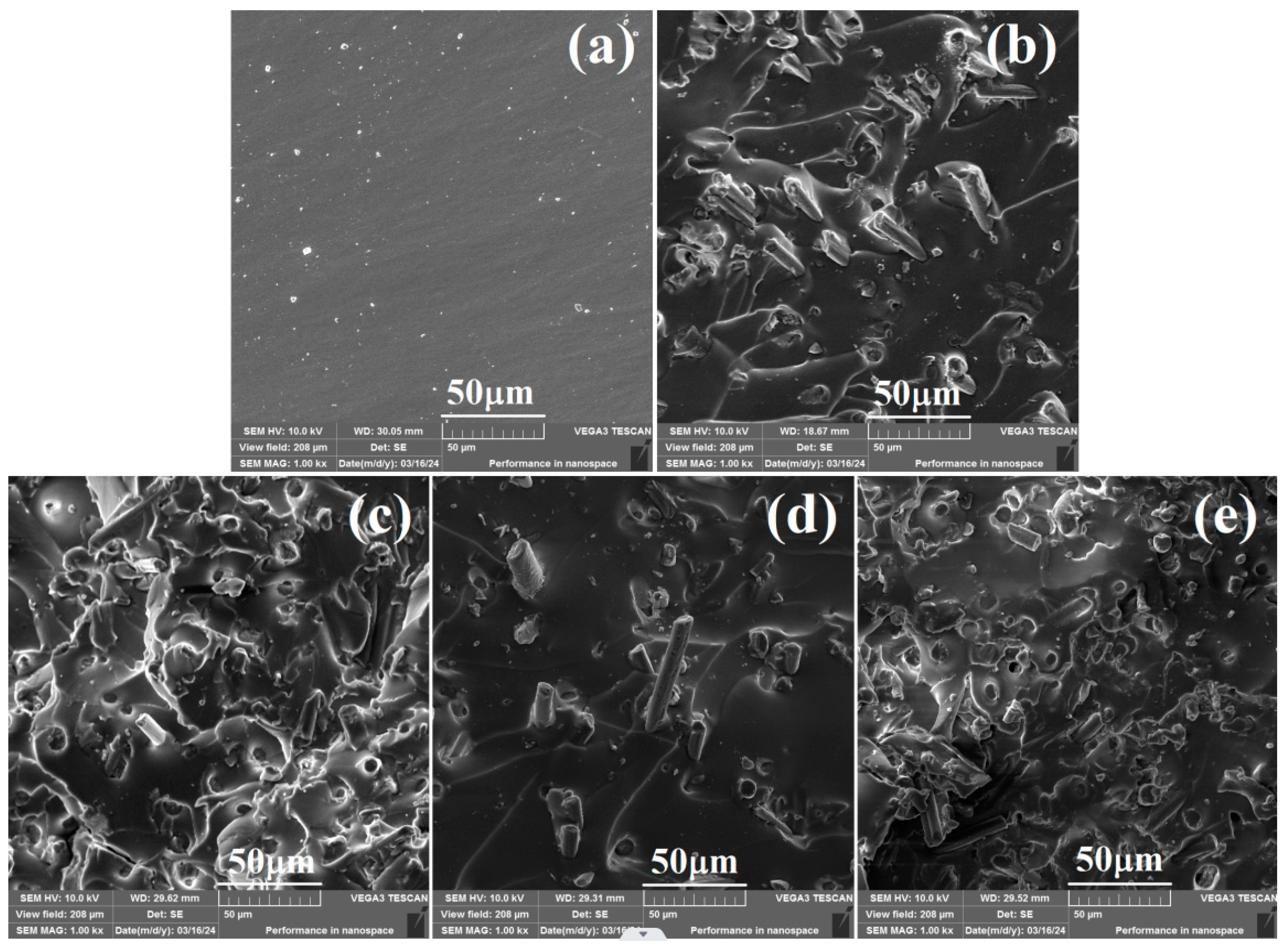 Molecules 30 01658 g006