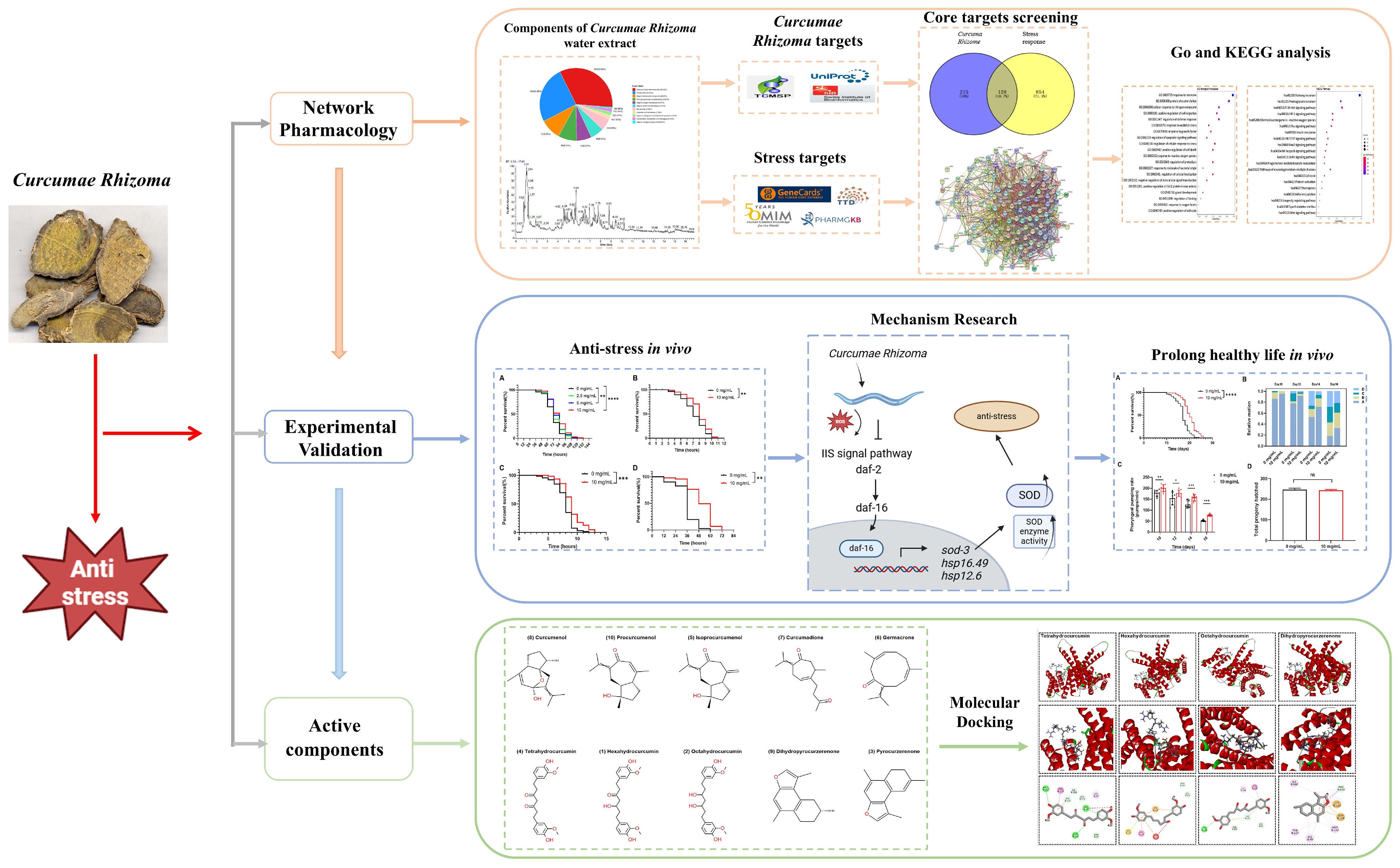 Molecules 30 01668 g001