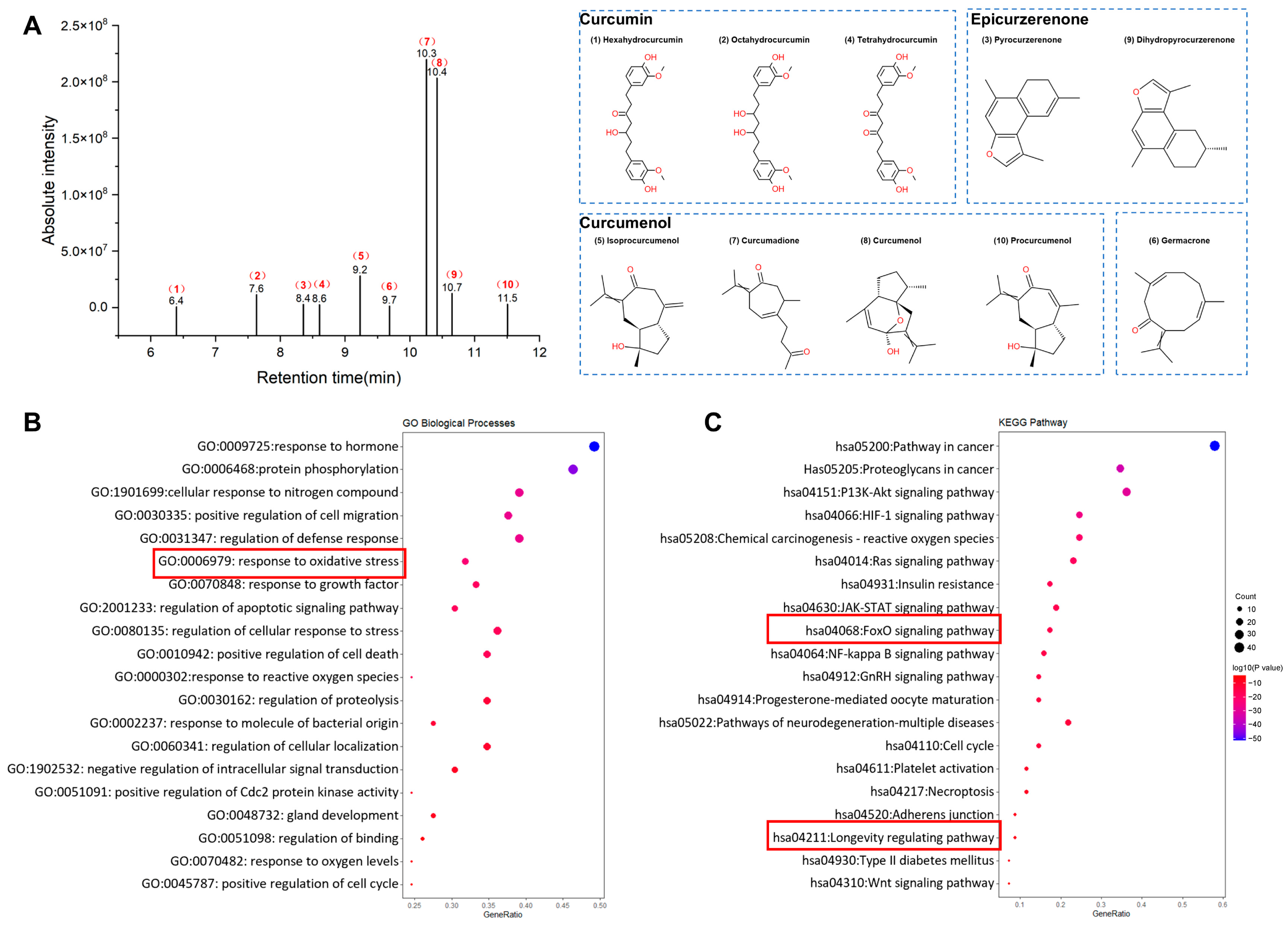 Molecules 30 01668 g002