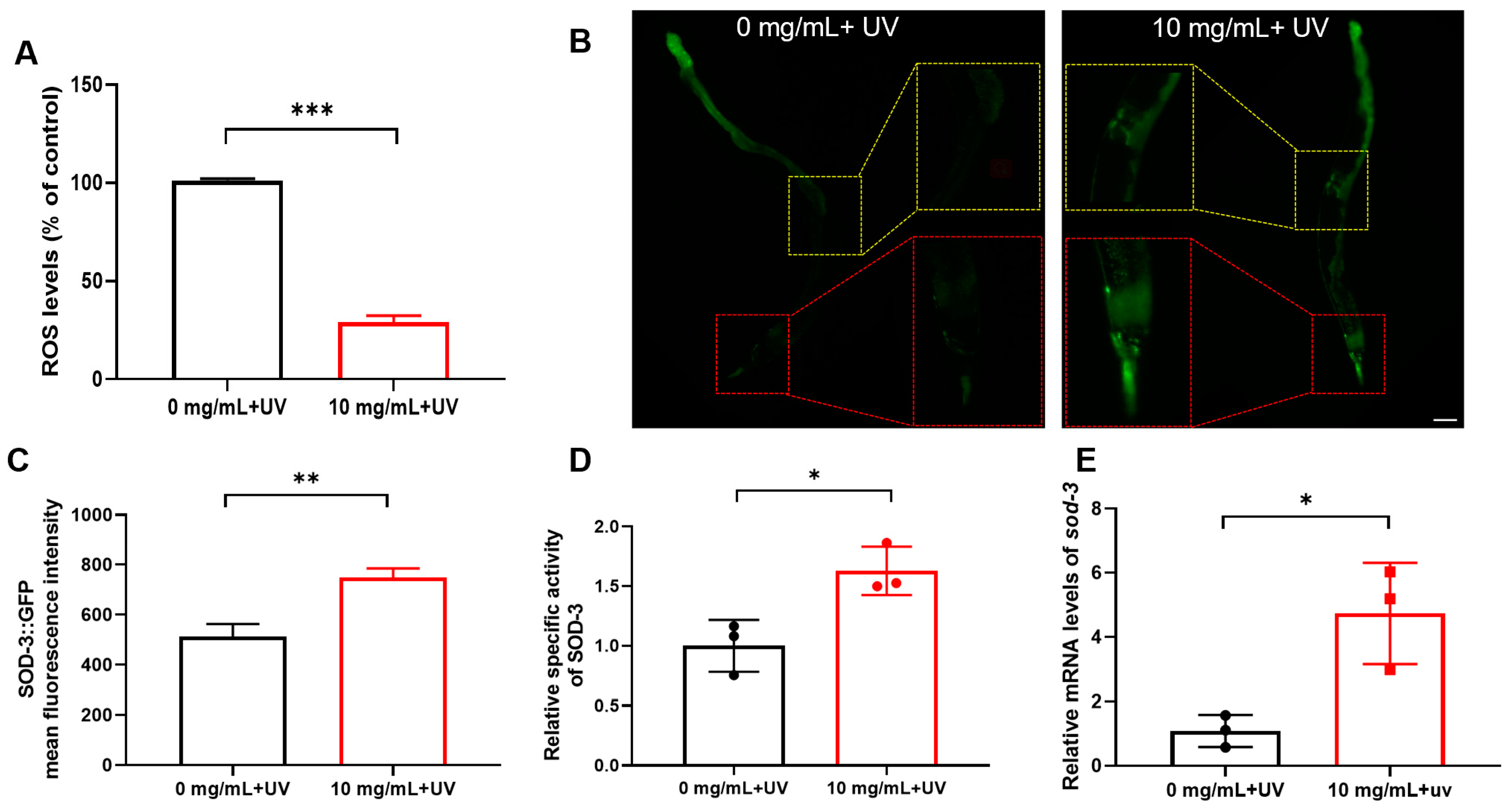 Molecules 30 01668 g004